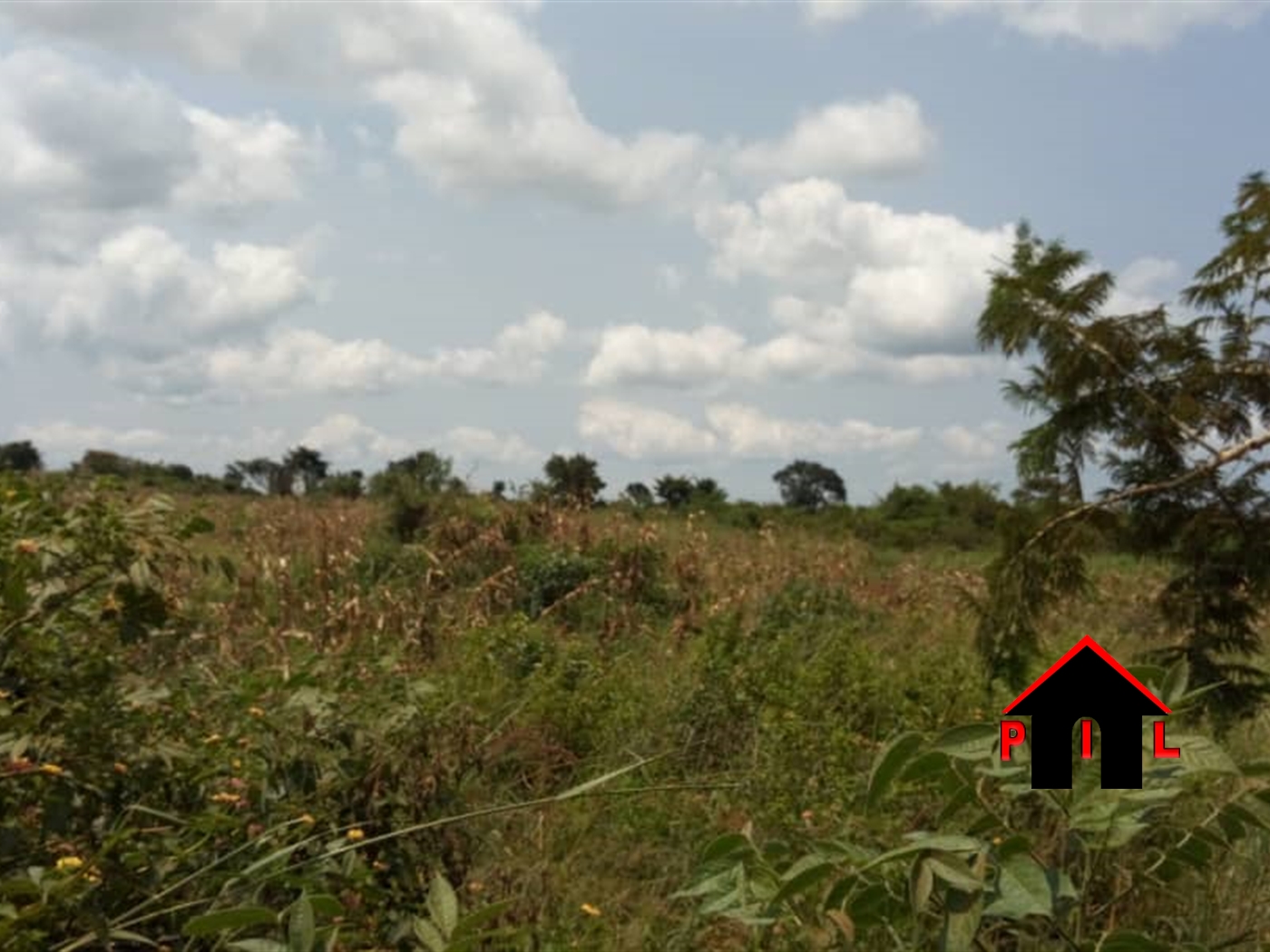 Residential Land for sale in Jjoggo Wakiso