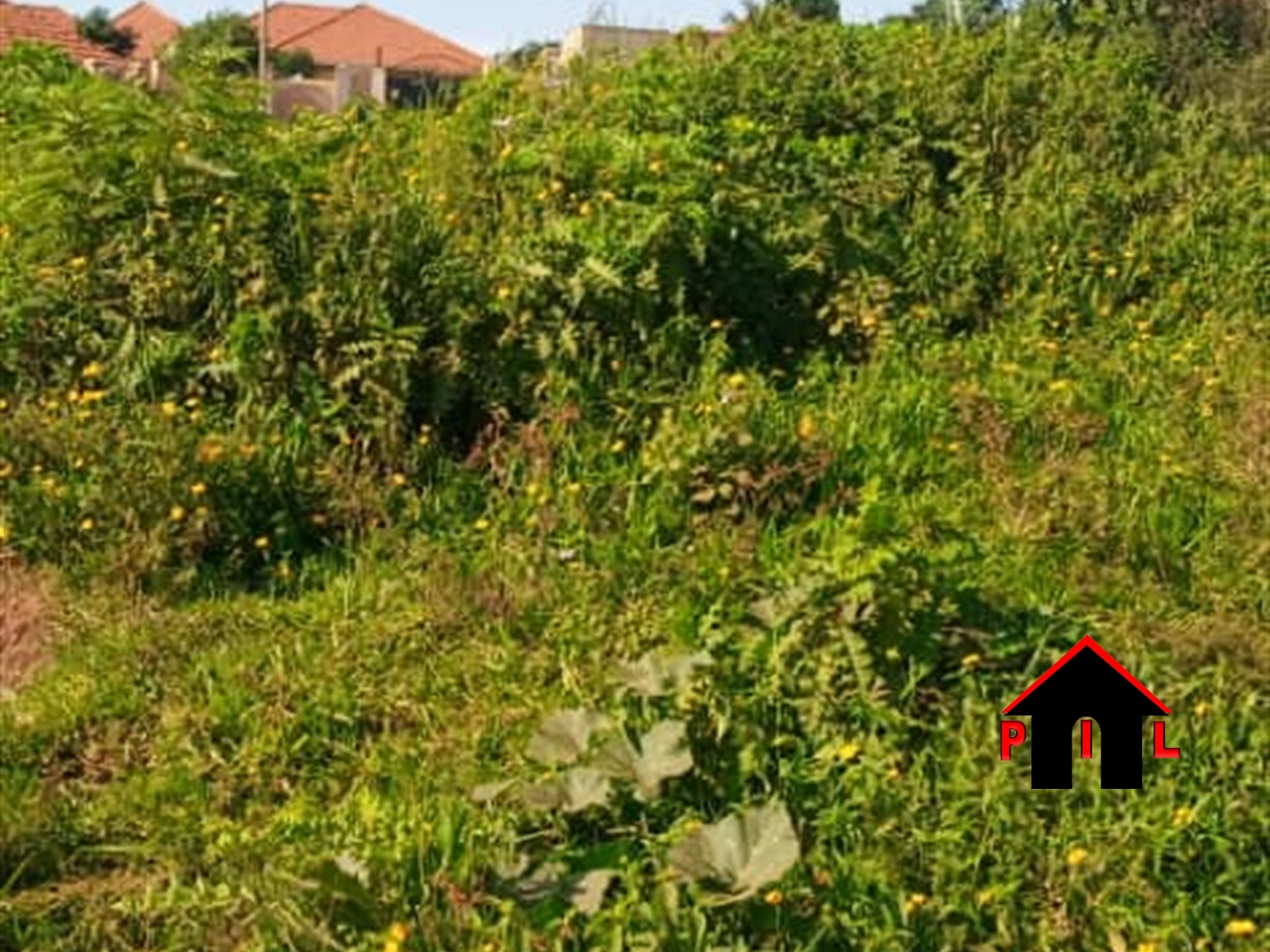 Residential Land for sale in Kisoga Mukono