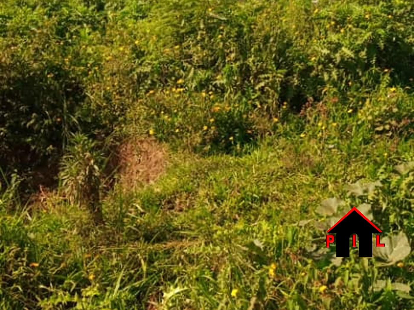 Residential Land for sale in Kisoga Mukono