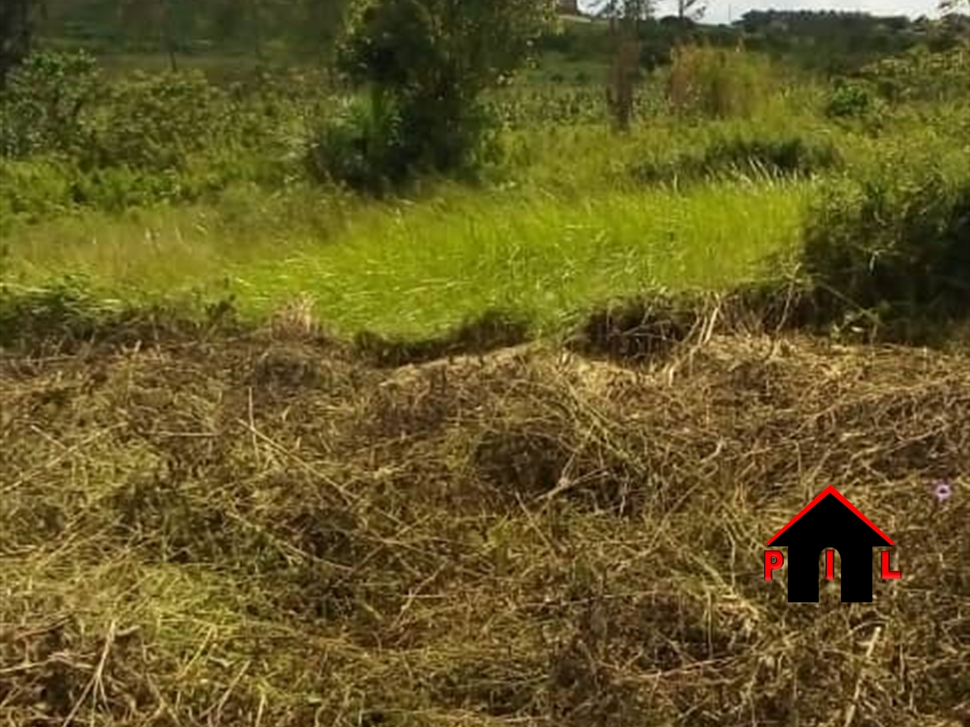 Residential Land for sale in Munyonyo Kampala