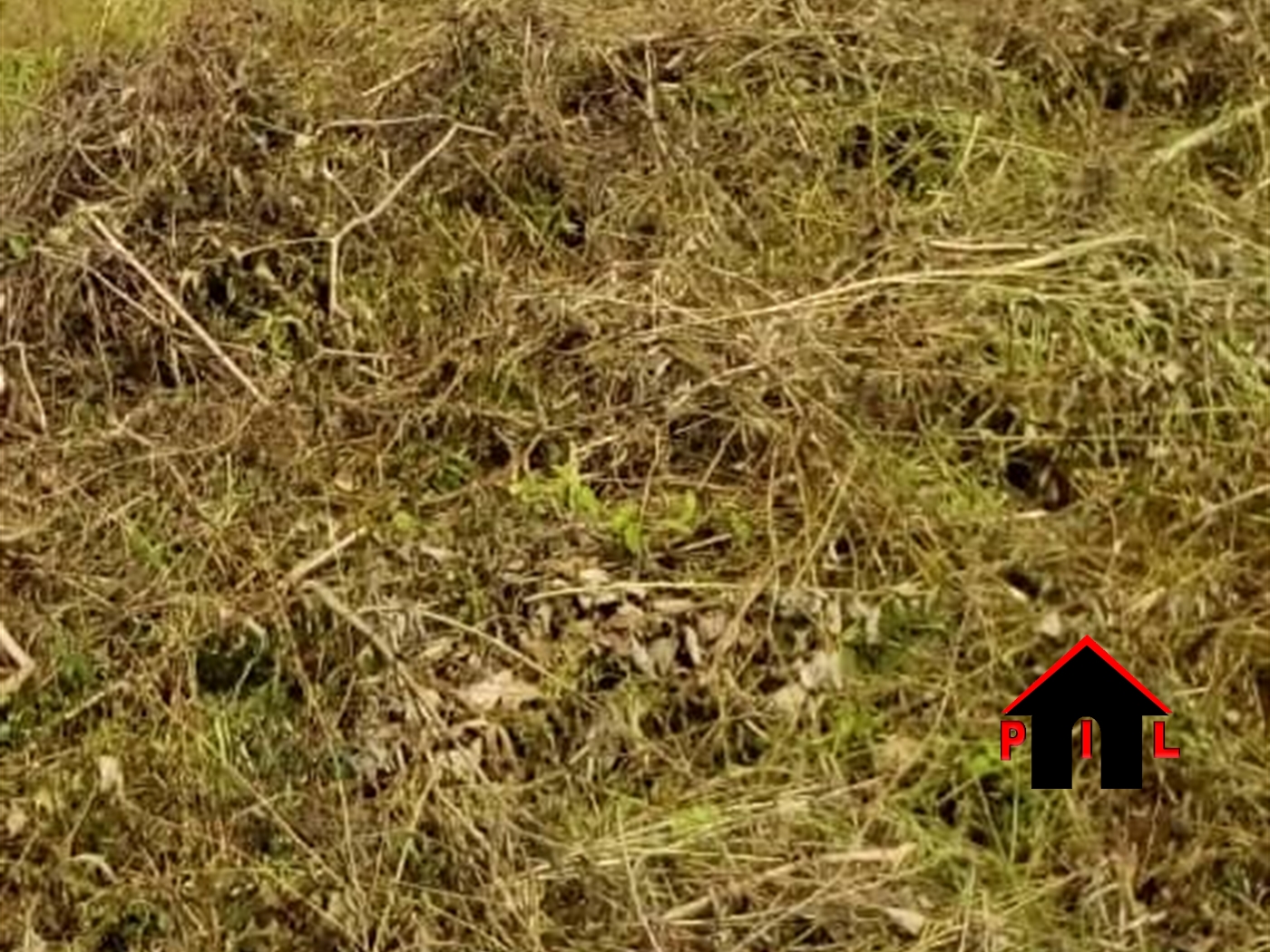 Residential Land for sale in Munyonyo Kampala