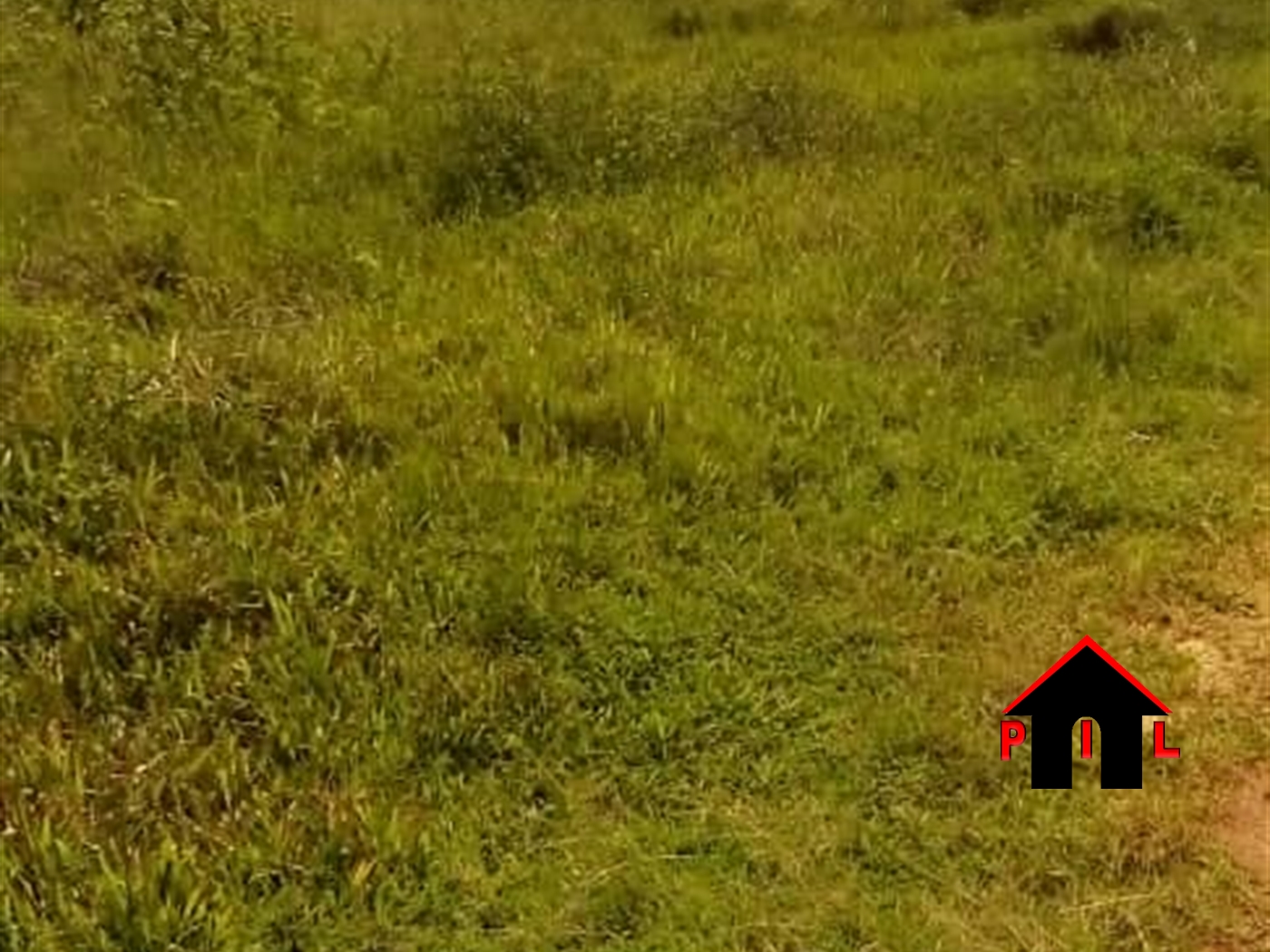 Residential Land for sale in Munyonyo Kampala