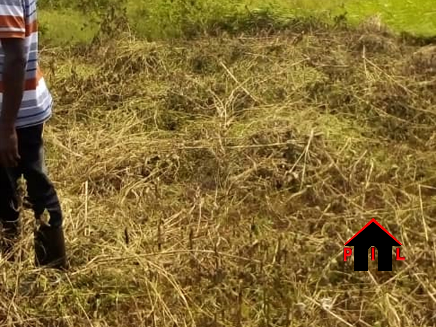 Residential Land for sale in Munyonyo Kampala