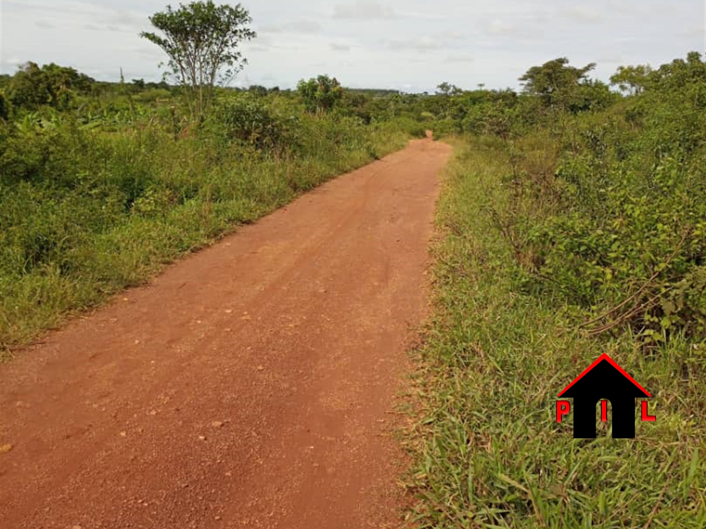 Agricultural Land for sale in Wakatayi Luwero