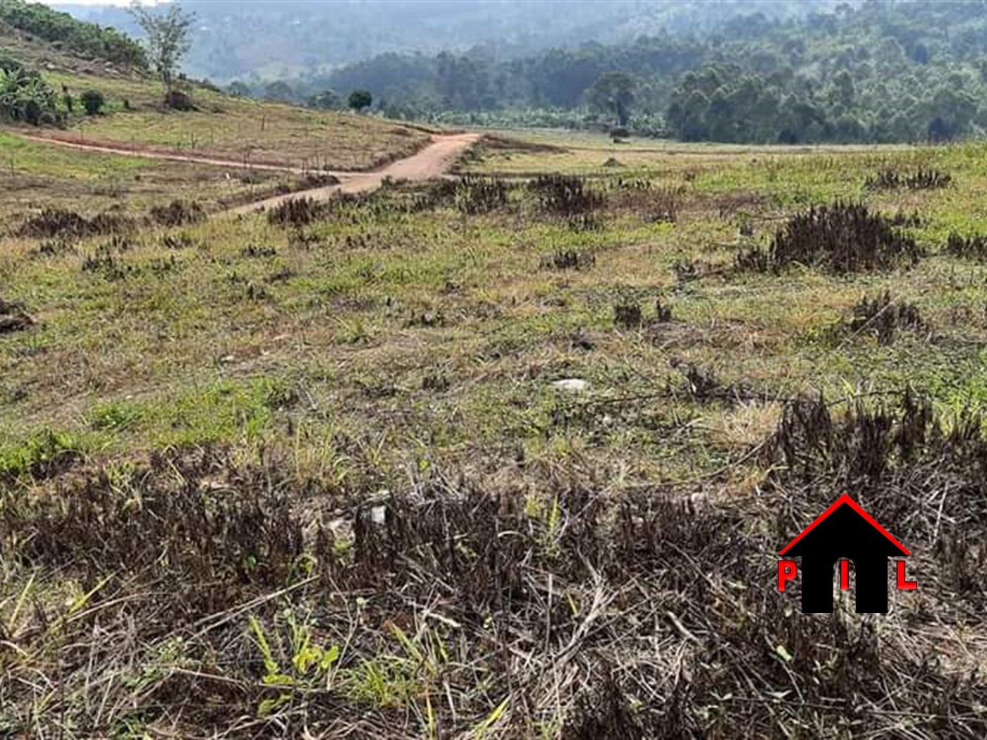 Agricultural Land for sale in Ndibulungi Luweero