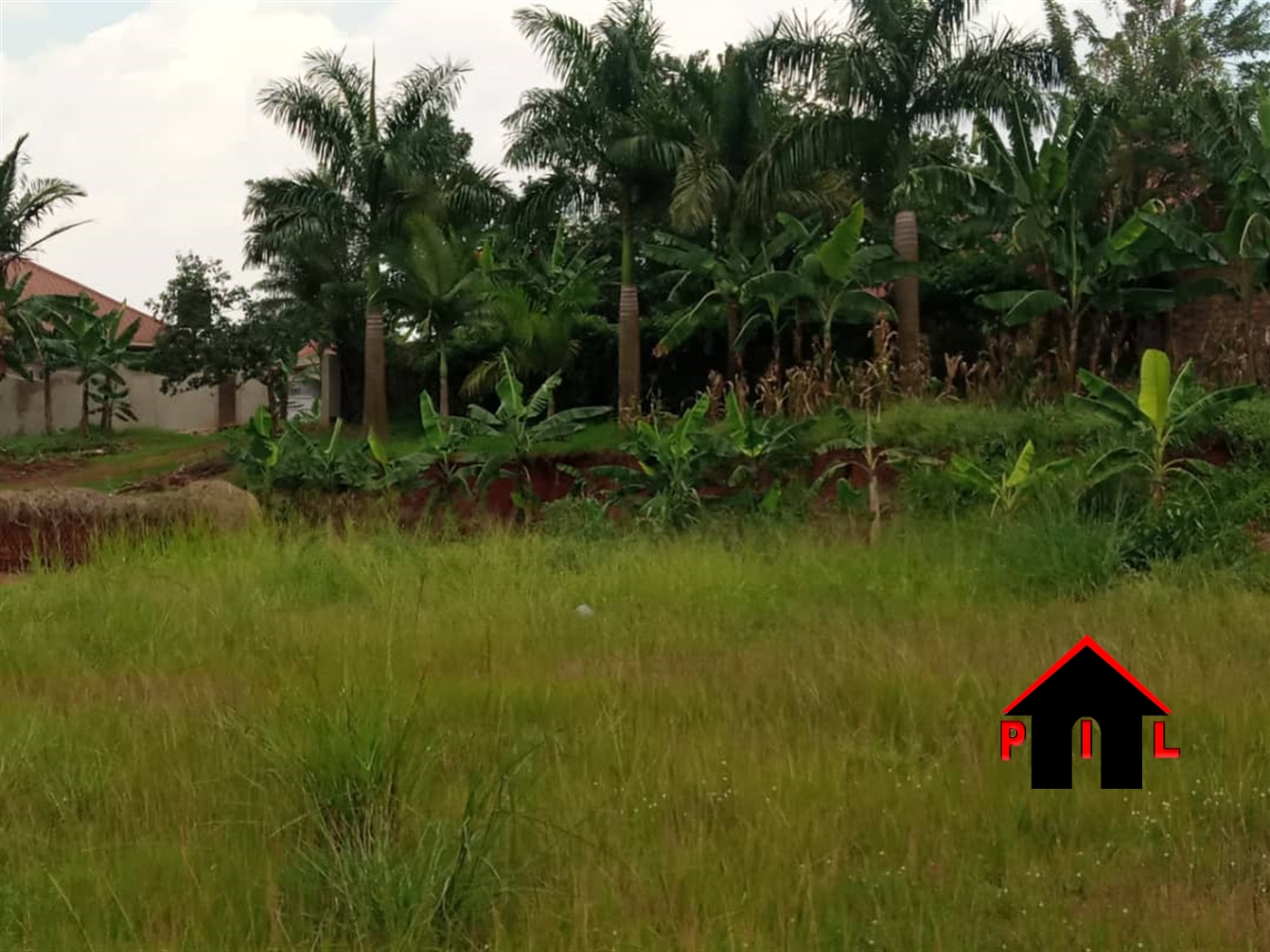 Agricultural Land for sale in Nazigo Kayunga