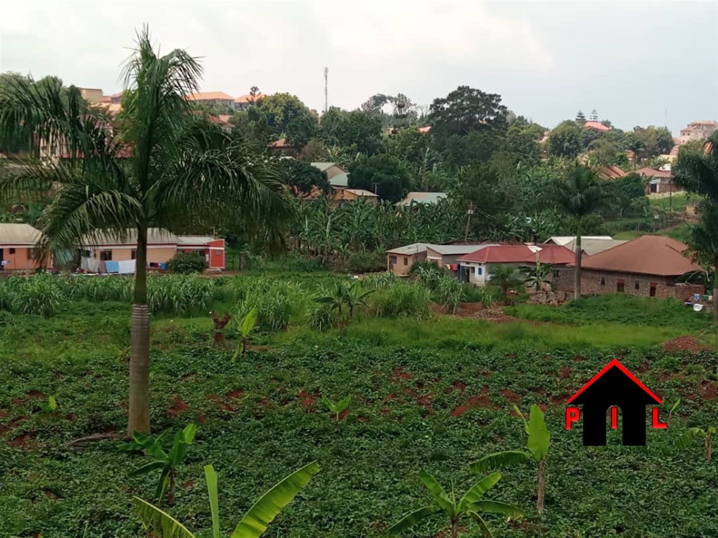 Agricultural Land for sale in Nazigo Kayunga