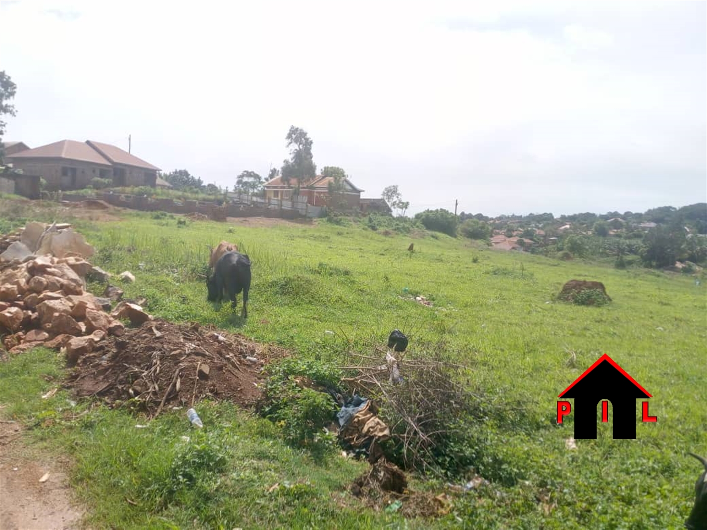 Commercial Land for sale in Namulanda Wakiso