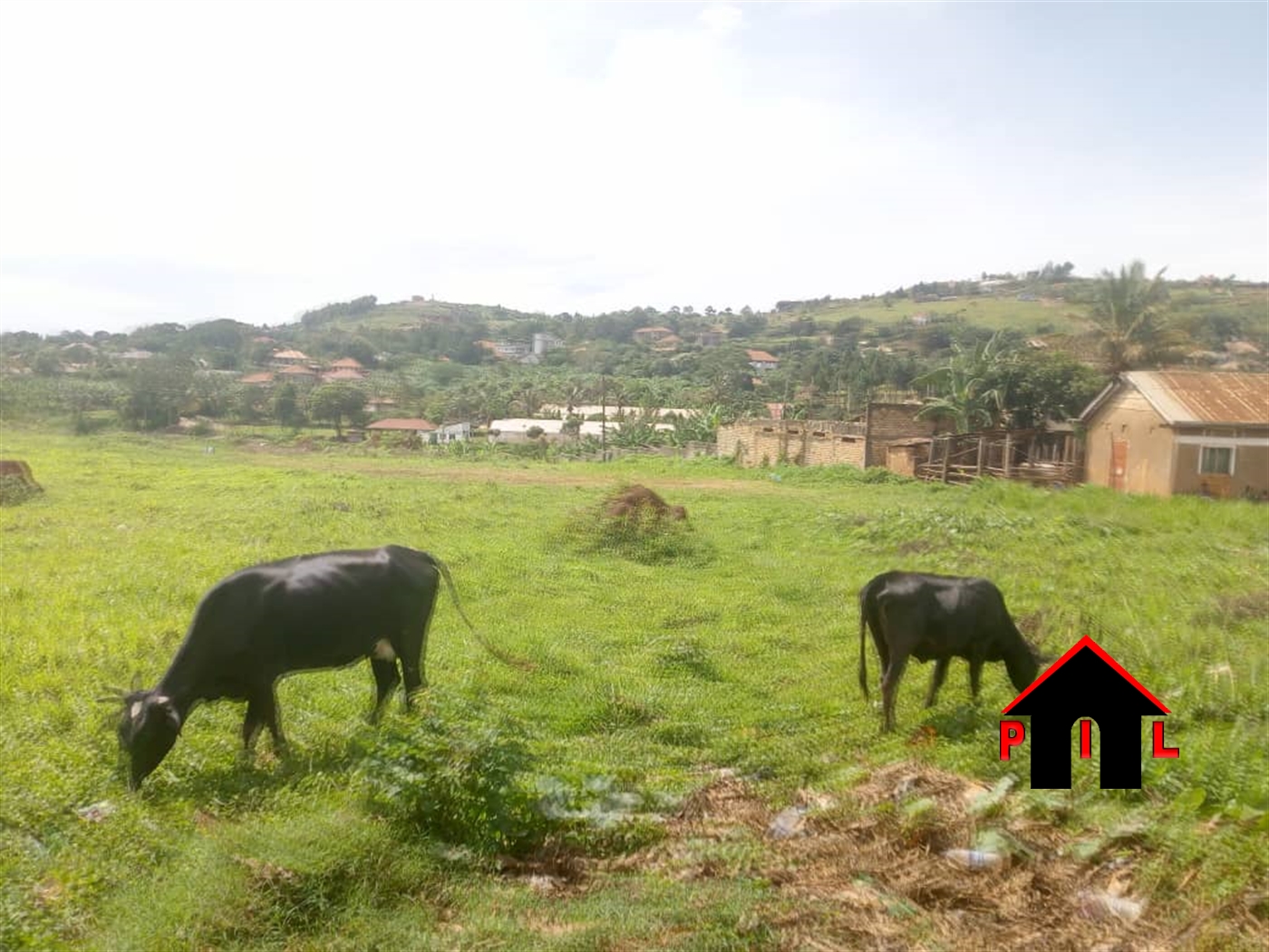 Commercial Land for sale in Namulanda Wakiso