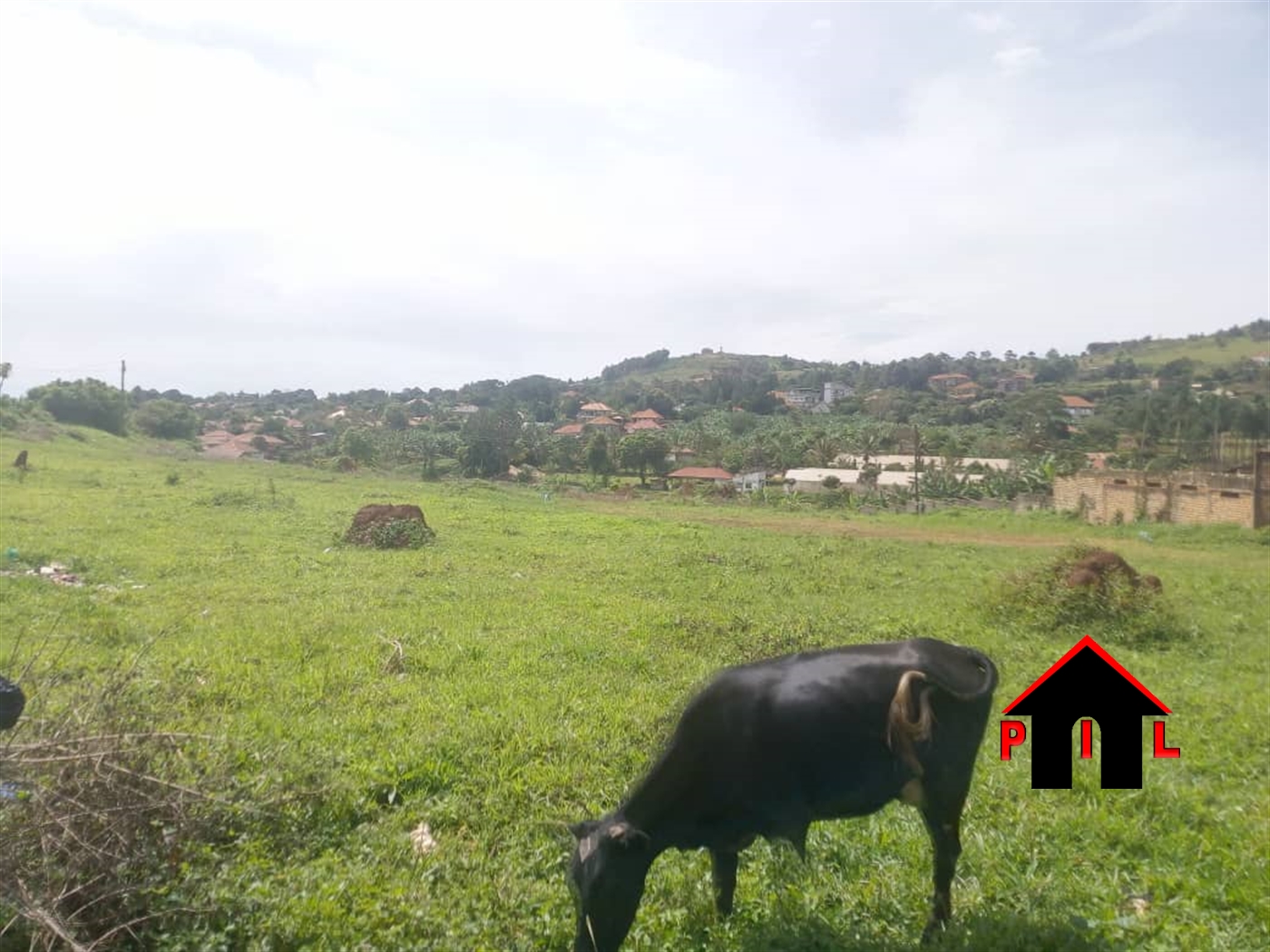 Commercial Land for sale in Namulanda Wakiso