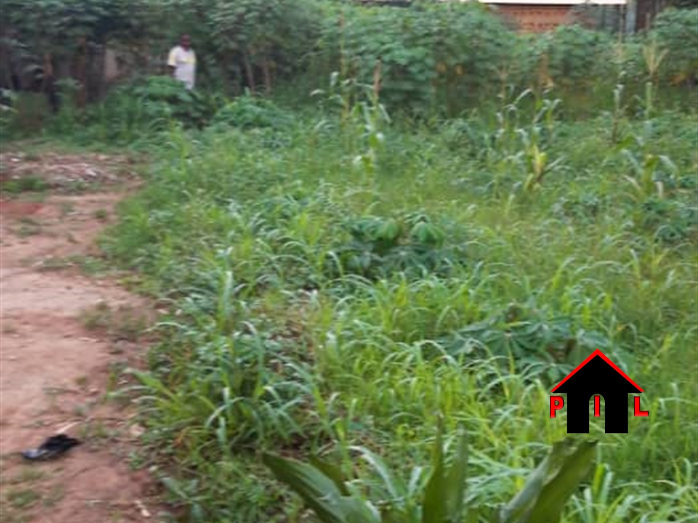 Residential Land for sale in Kayabwe Mpigi