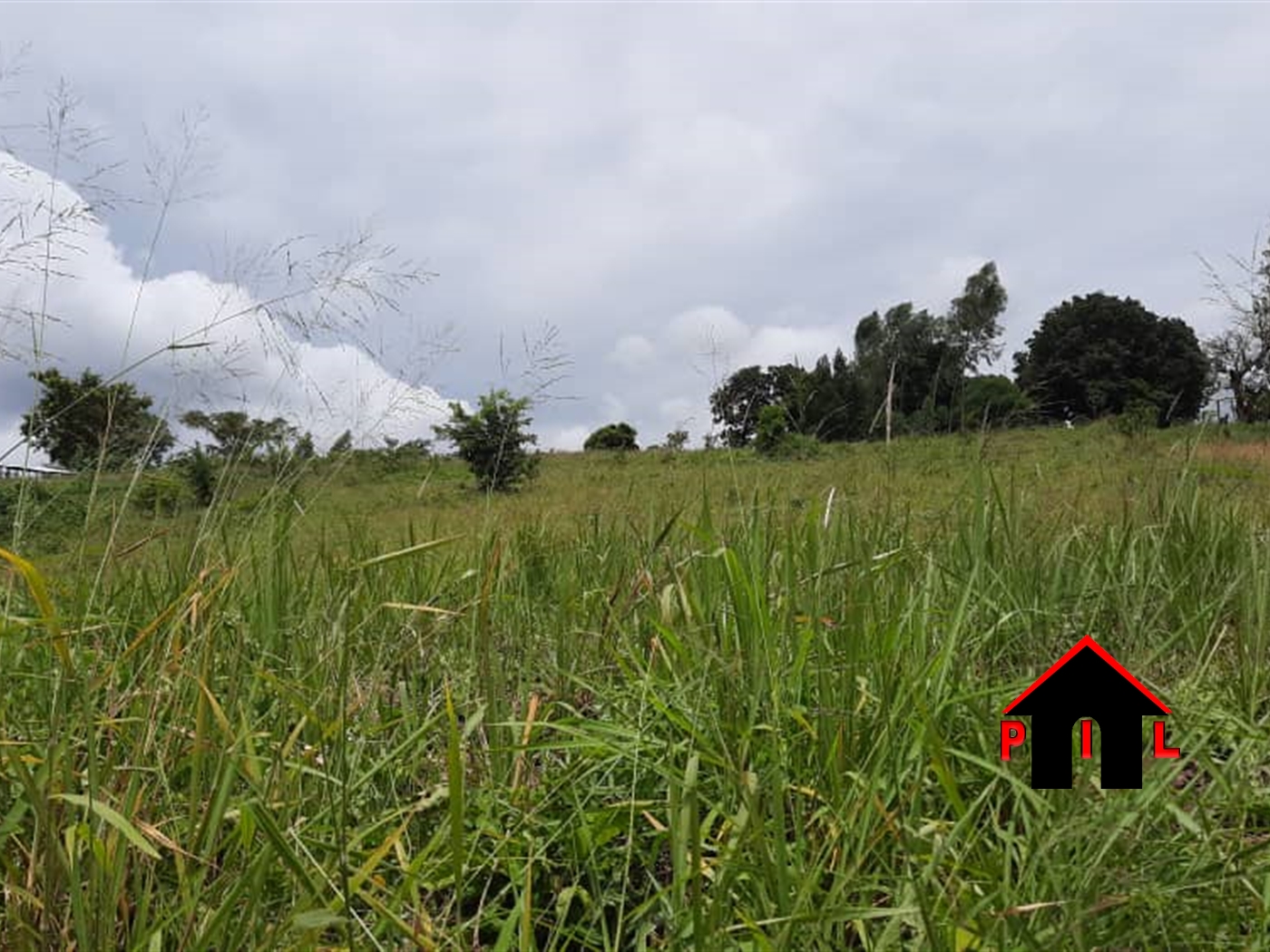 Commercial Land for sale in Namulanda Wakiso