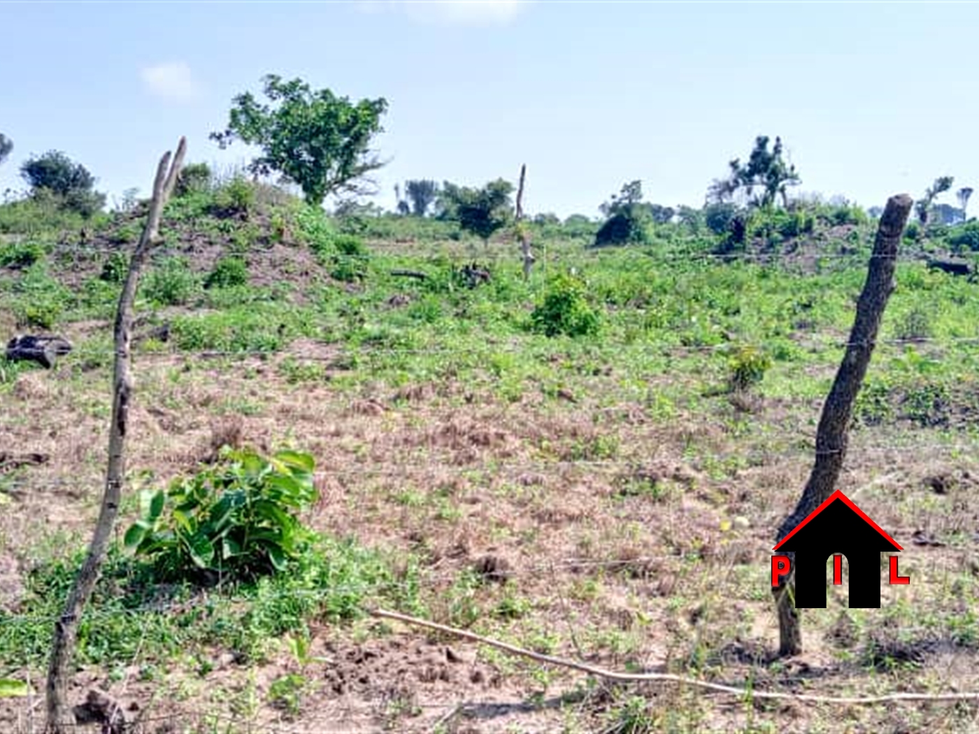 Agricultural Land for sale in Kaweweta Nakaseke