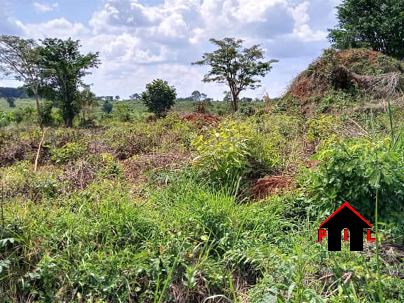 Agricultural Land for sale in Butalangu Nakaseke