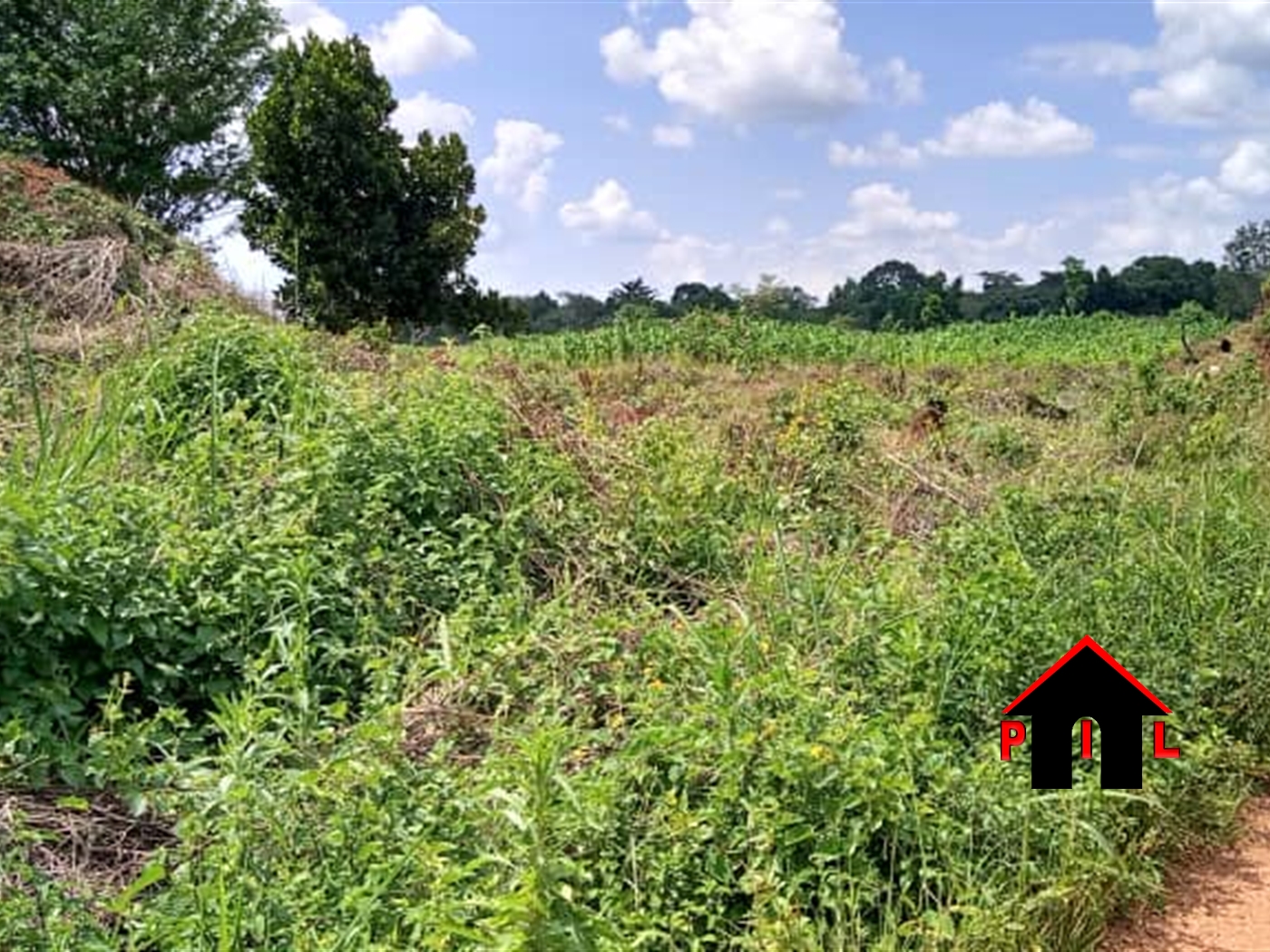 Agricultural Land for sale in Butalangu Nakaseke