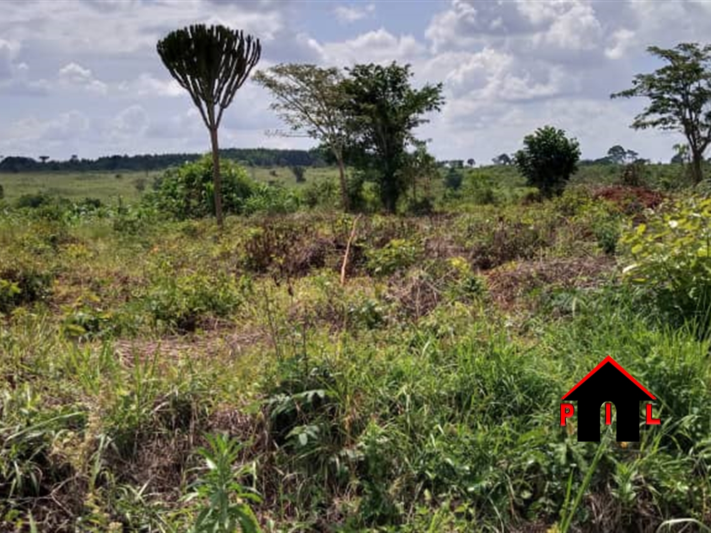 Agricultural Land for sale in Butalangu Nakaseke