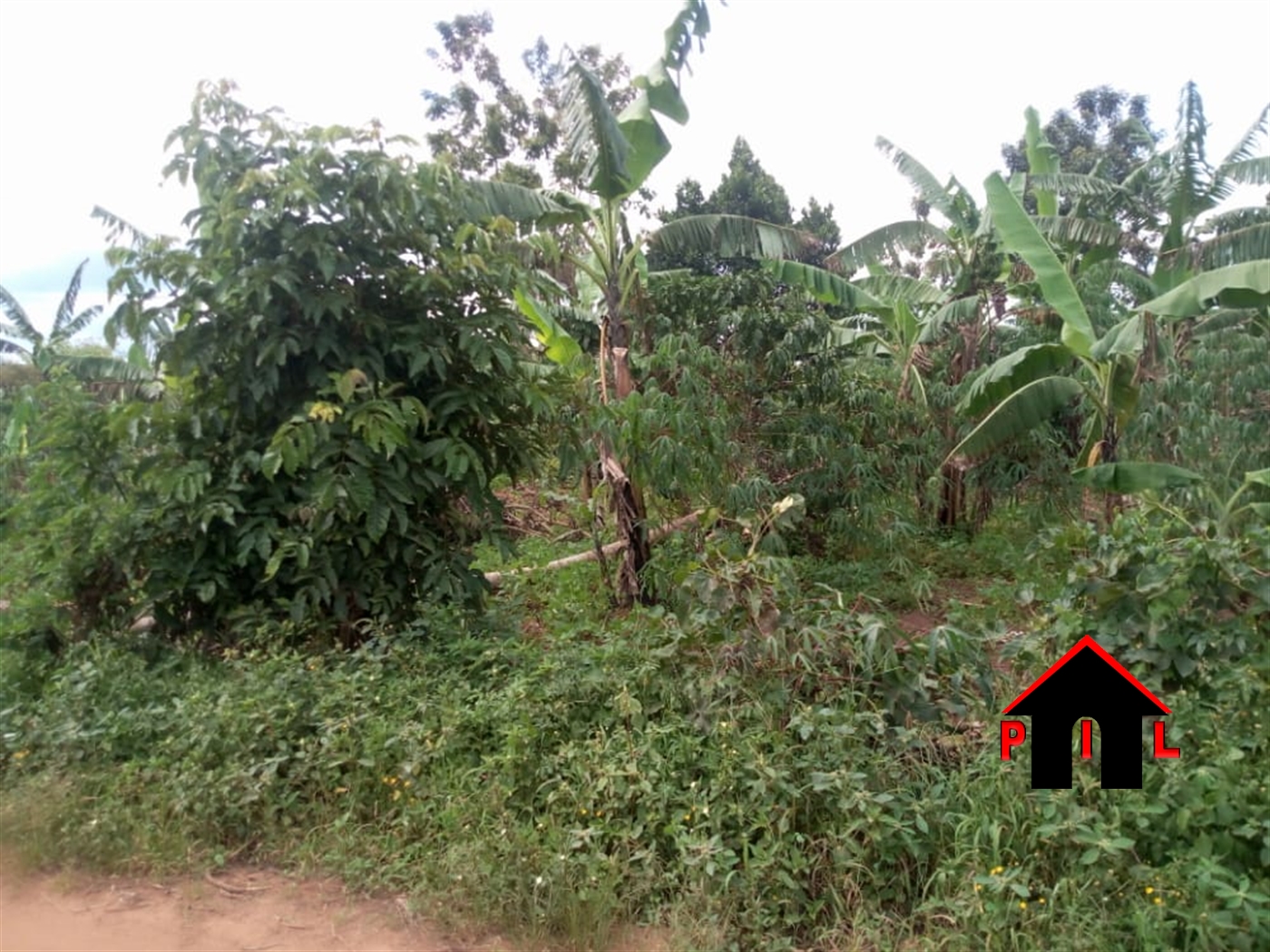 Residential Land for sale in Kawuku Wakiso