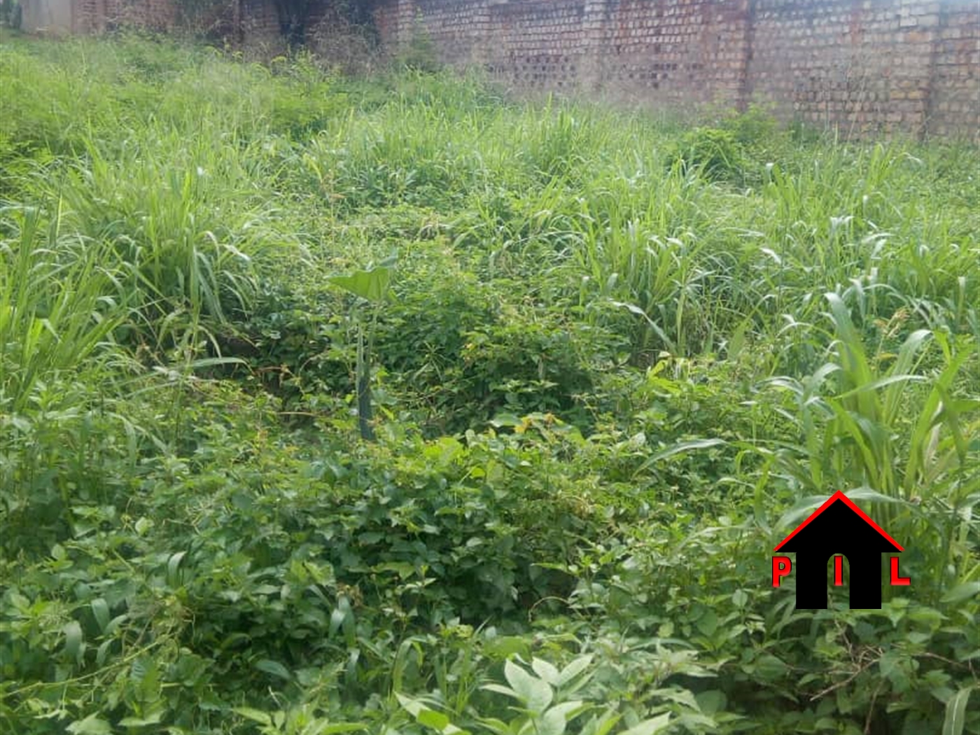 Residential Land for sale in Munyonyo Kampala