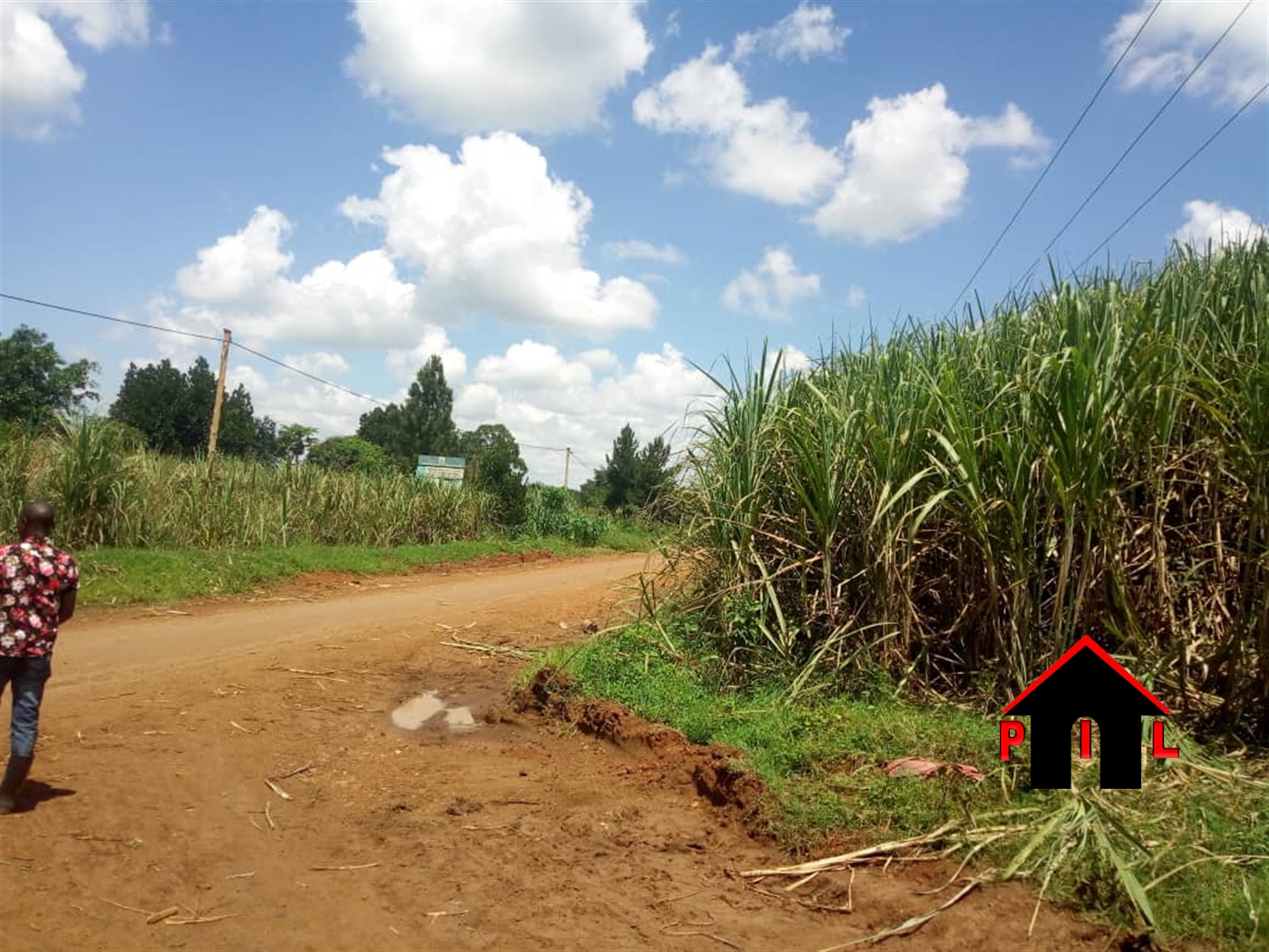 Agricultural Land for sale in Kisozi Kamuli