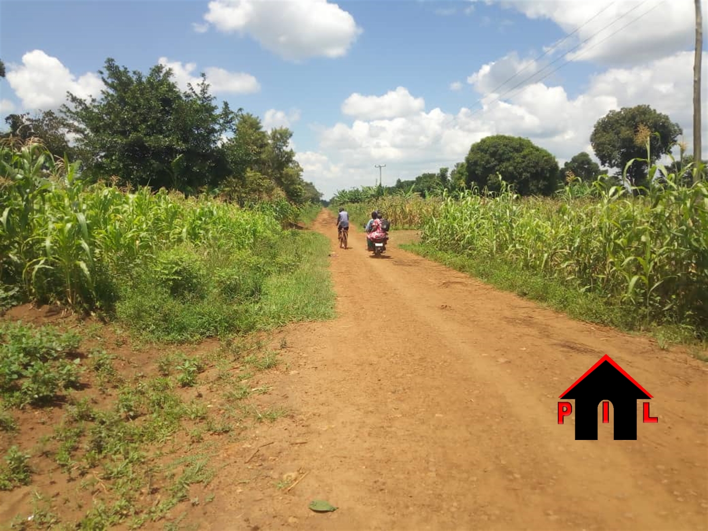 Agricultural Land for sale in Kiyunga Kamuli