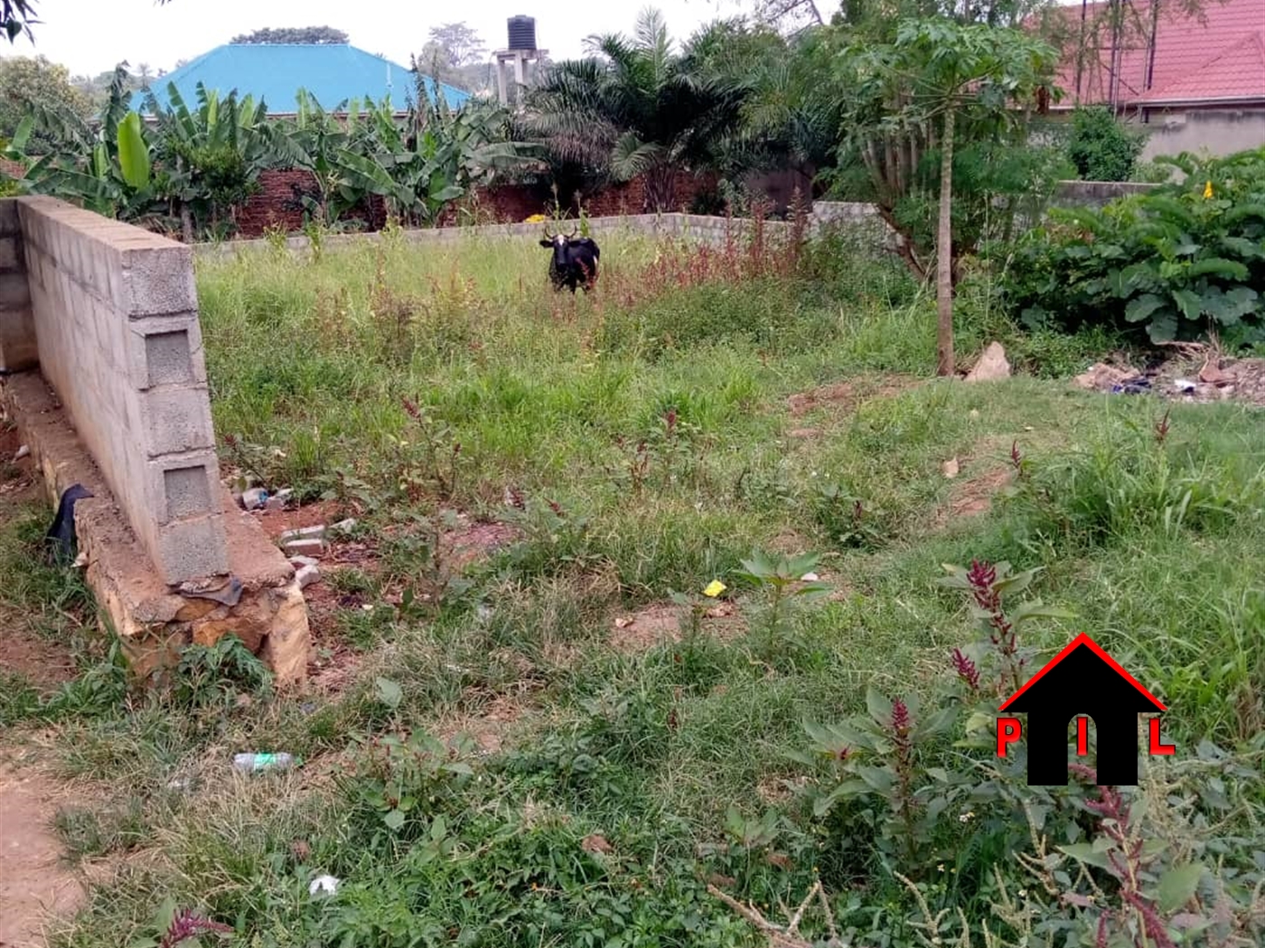 Commercial Land for sale in Buziga Kampala