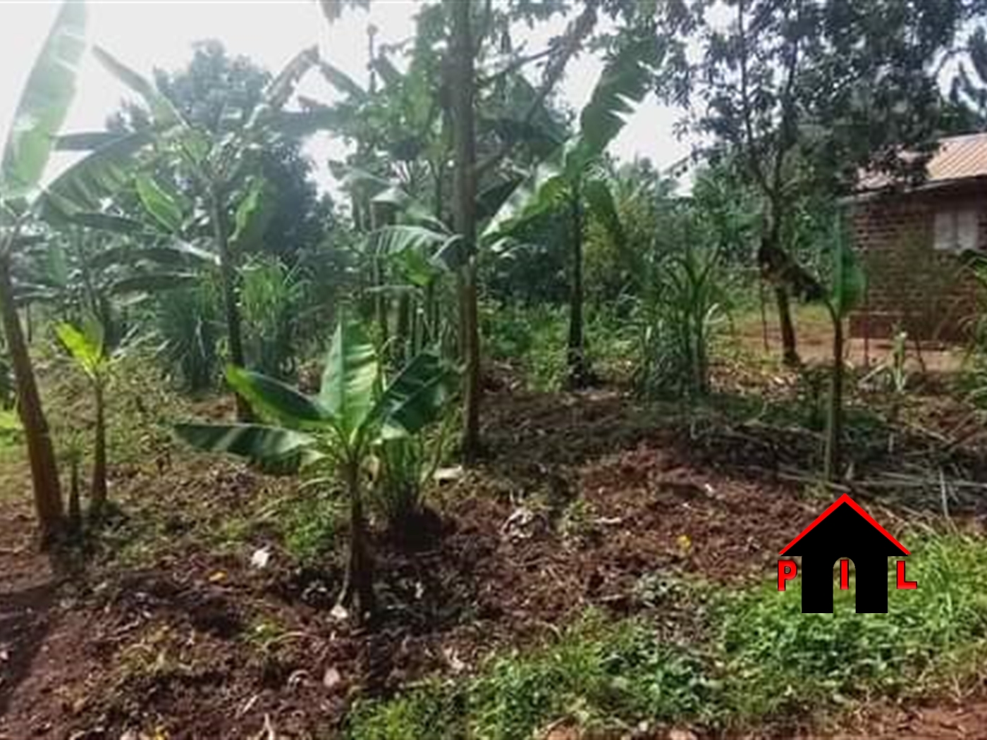 Agricultural Land for sale in Ngogwe Buyikwe