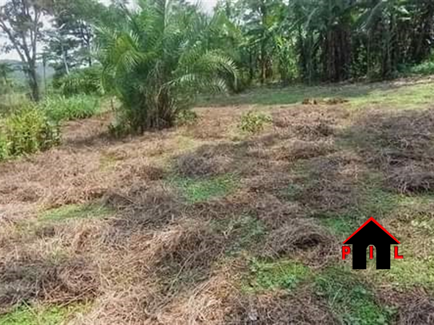 Agricultural Land for sale in Kisoga Buyikwe