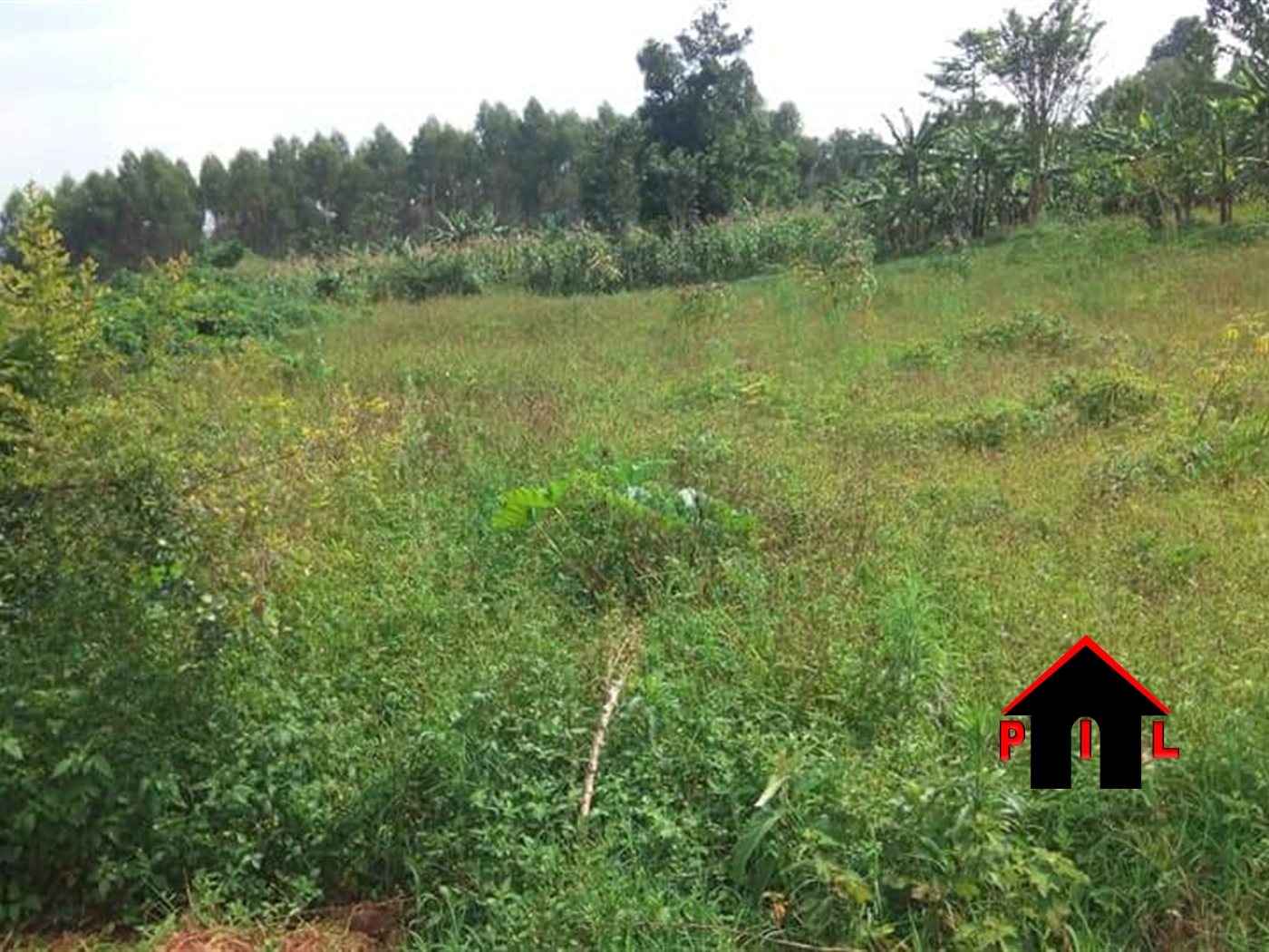 Agricultural Land for sale in Mpambire Mpigi