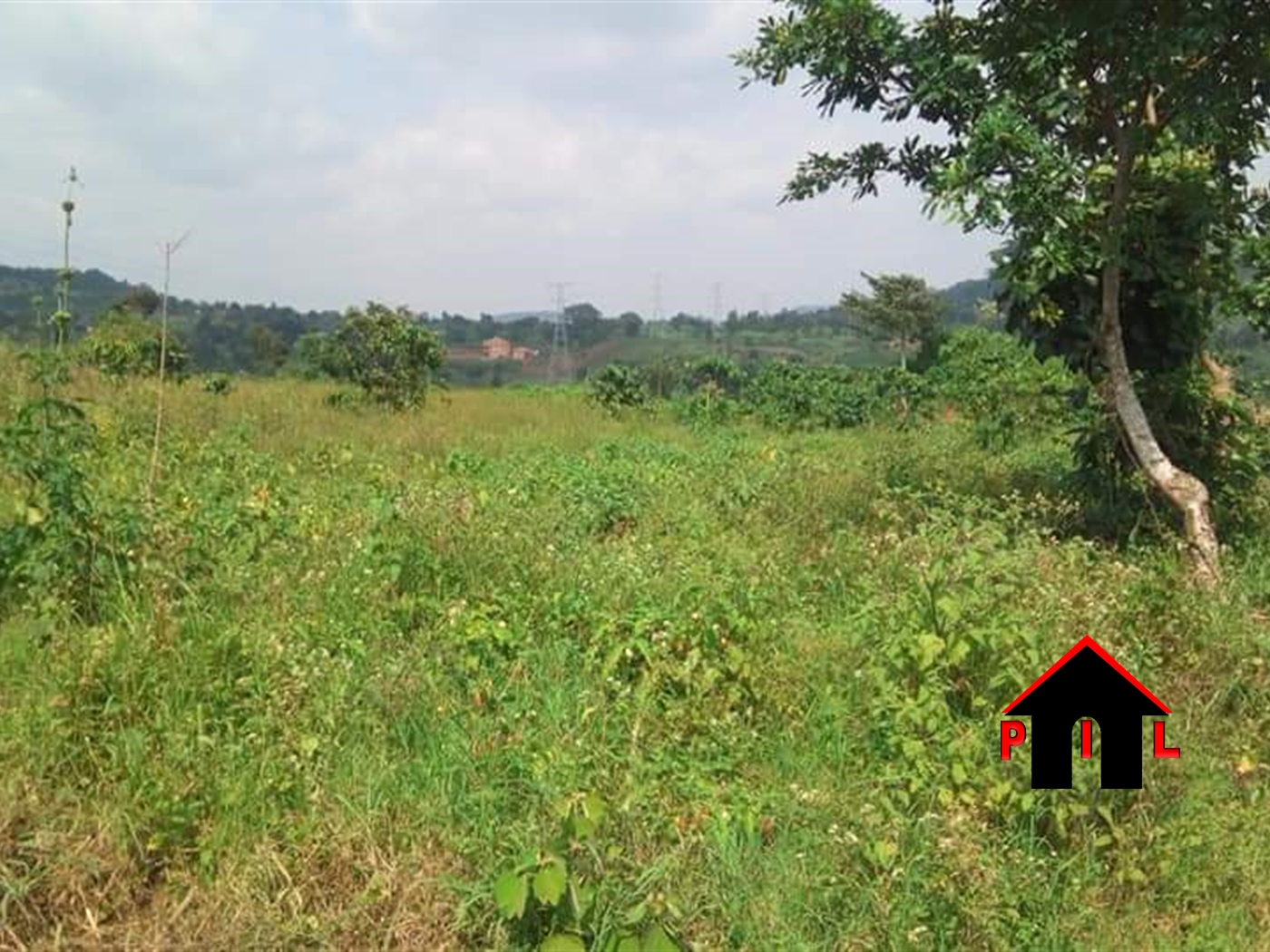 Agricultural Land for sale in Mpambire Mpigi