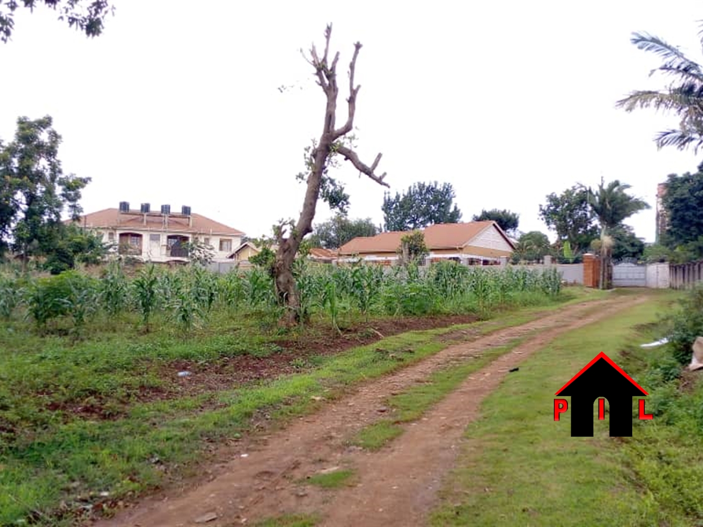 Residential Land for sale in Kiwaatule Kampala