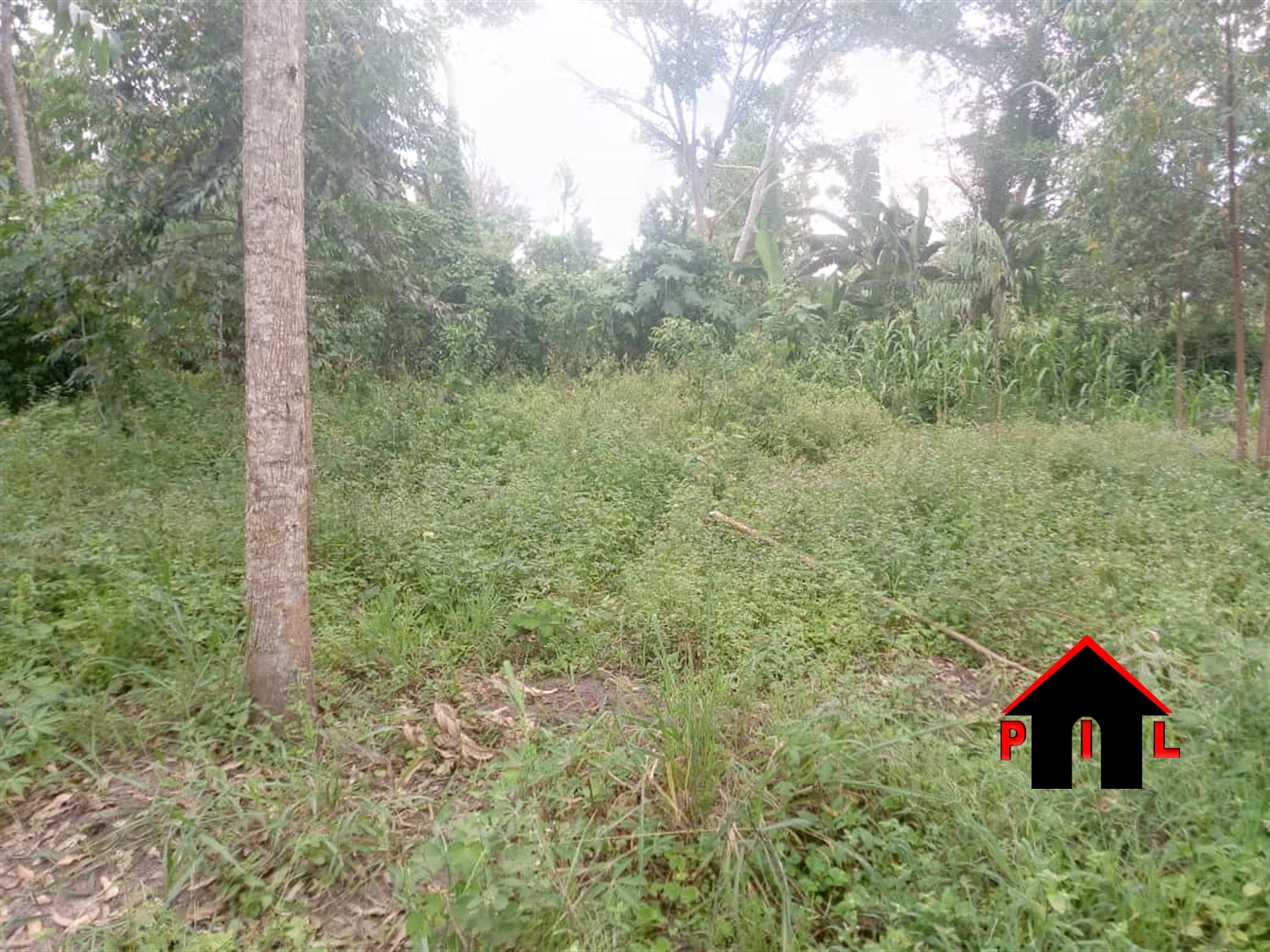 Agricultural Land for sale in Lukomera Luweero