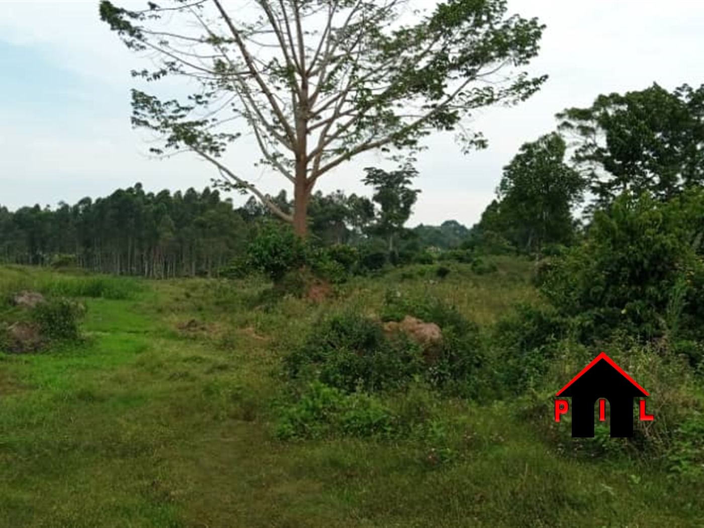 Agricultural Land for sale in Katosi Wakiso