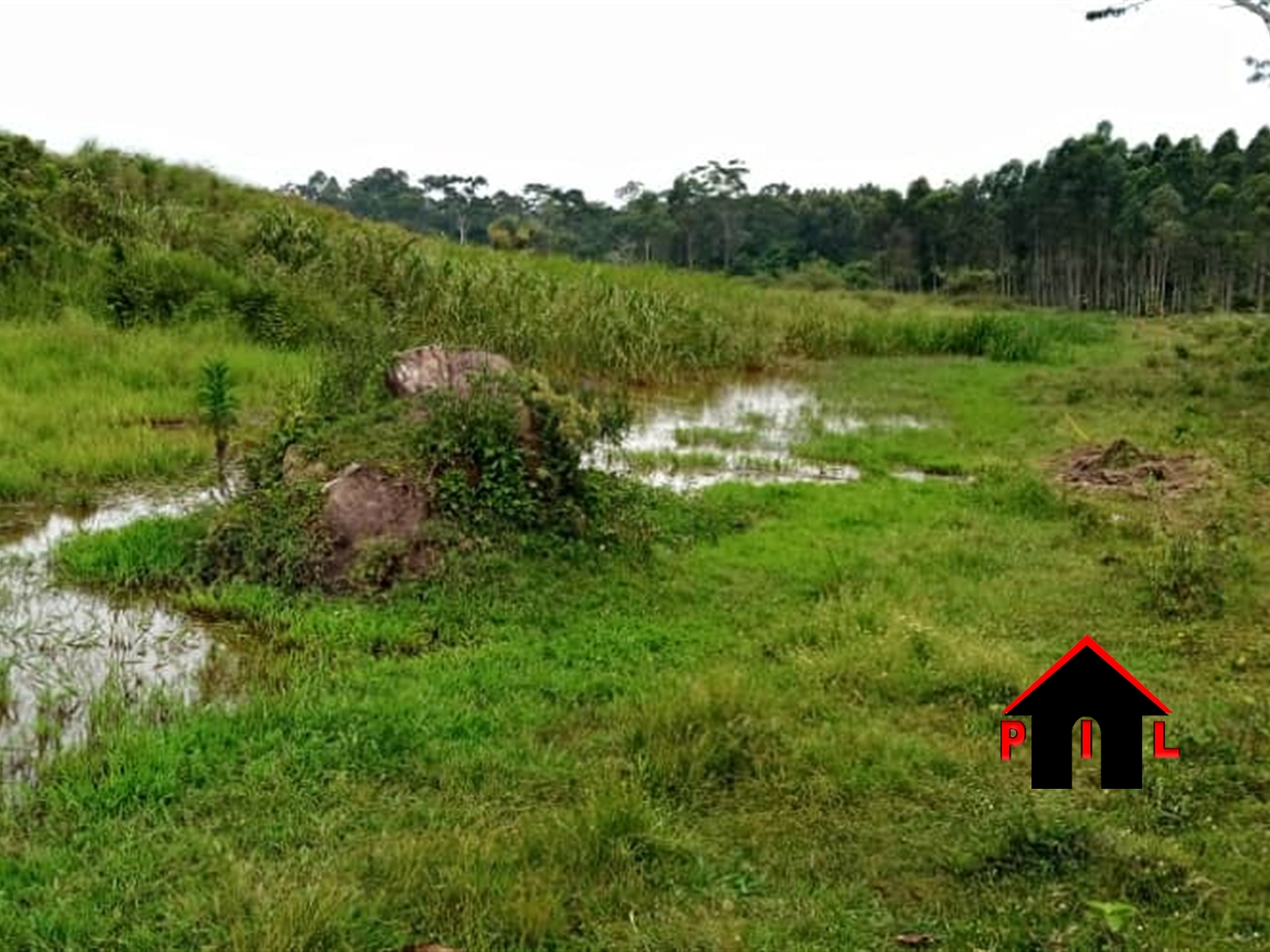 Agricultural Land for sale in Katosi Wakiso