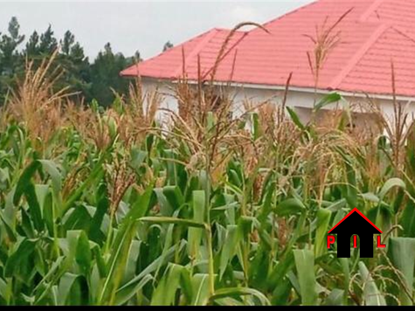 Residential Land for sale in Mulawa Wakiso