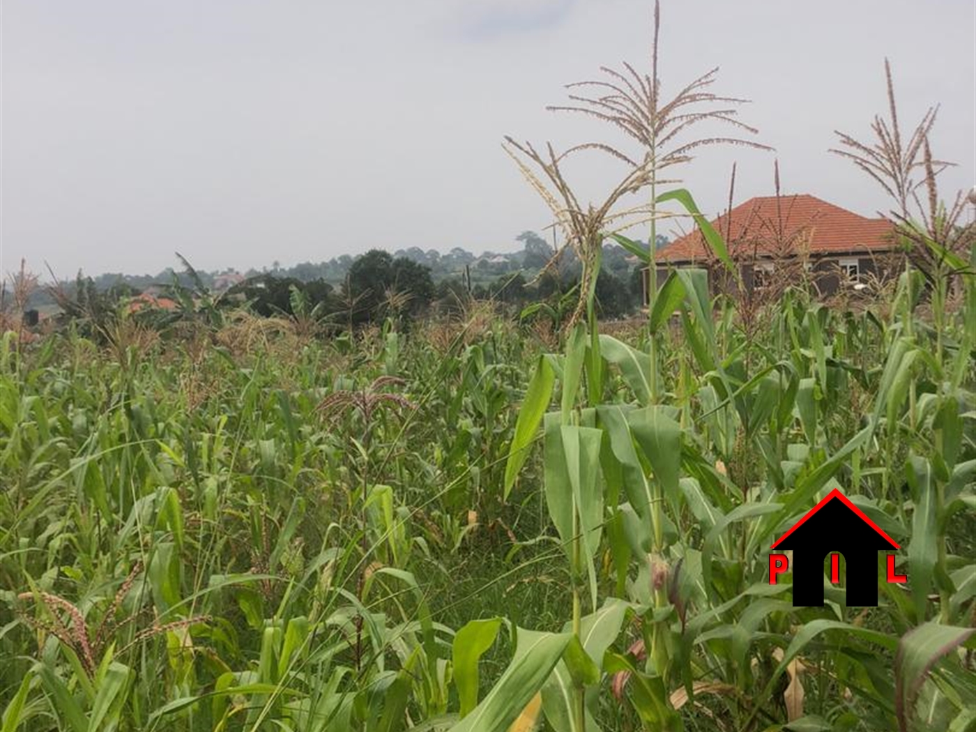 Residential Land for sale in Mulawa Wakiso