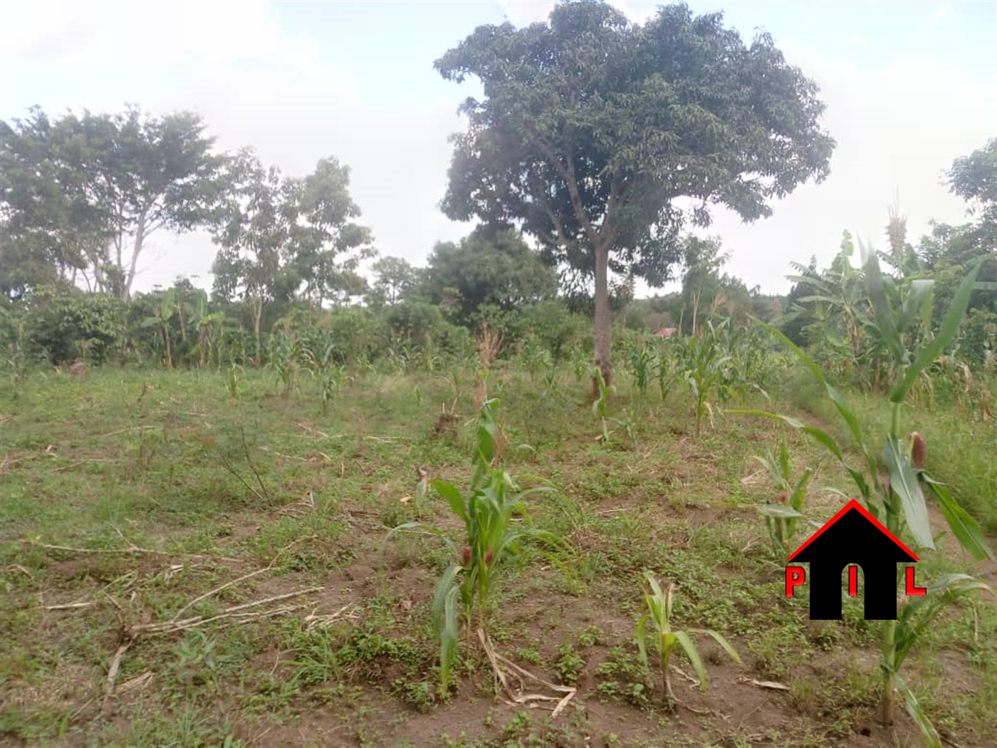 Residential Land for sale in Kata Wakiso