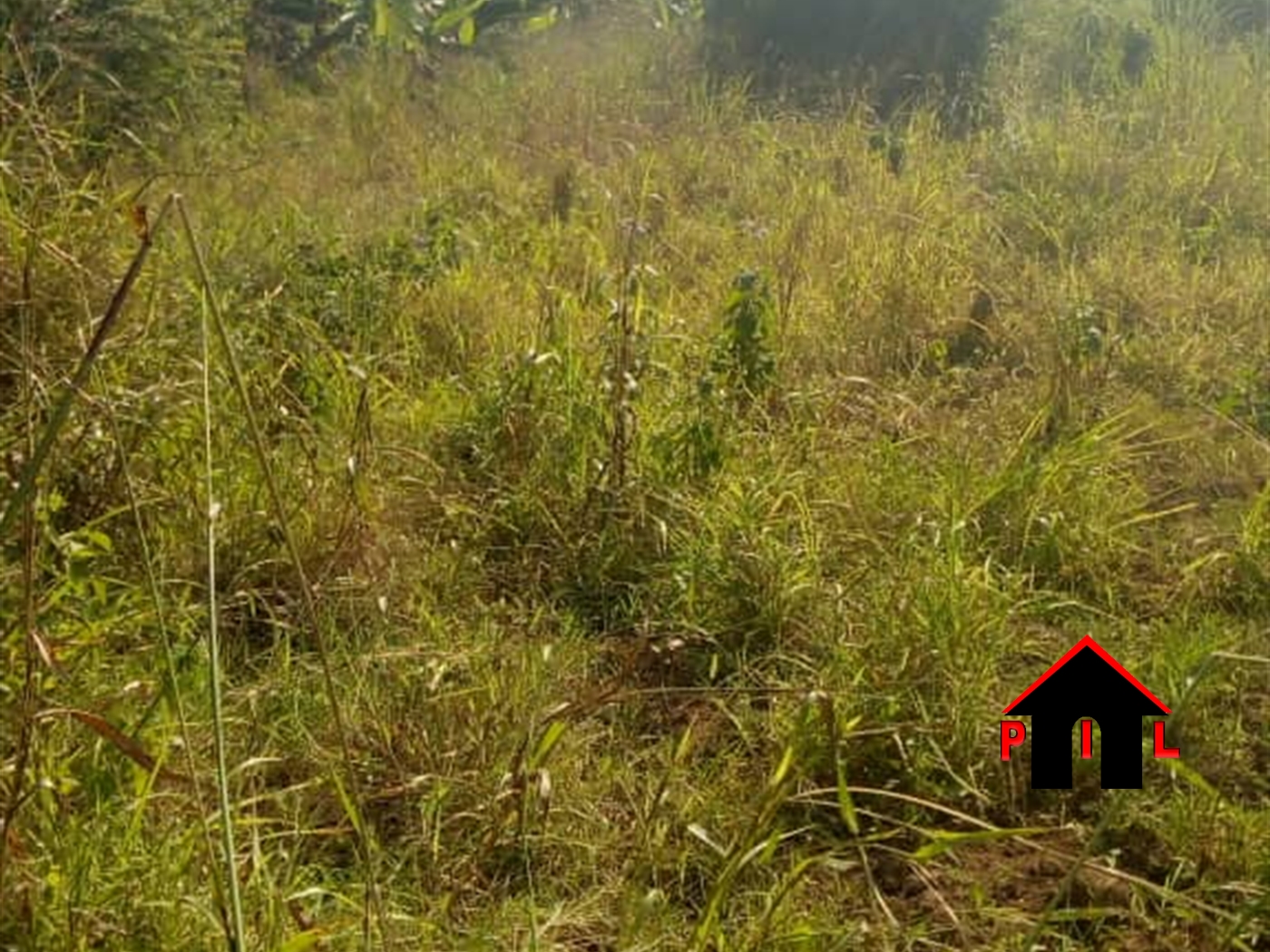 Commercial Land for sale in Bugema Wakiso
