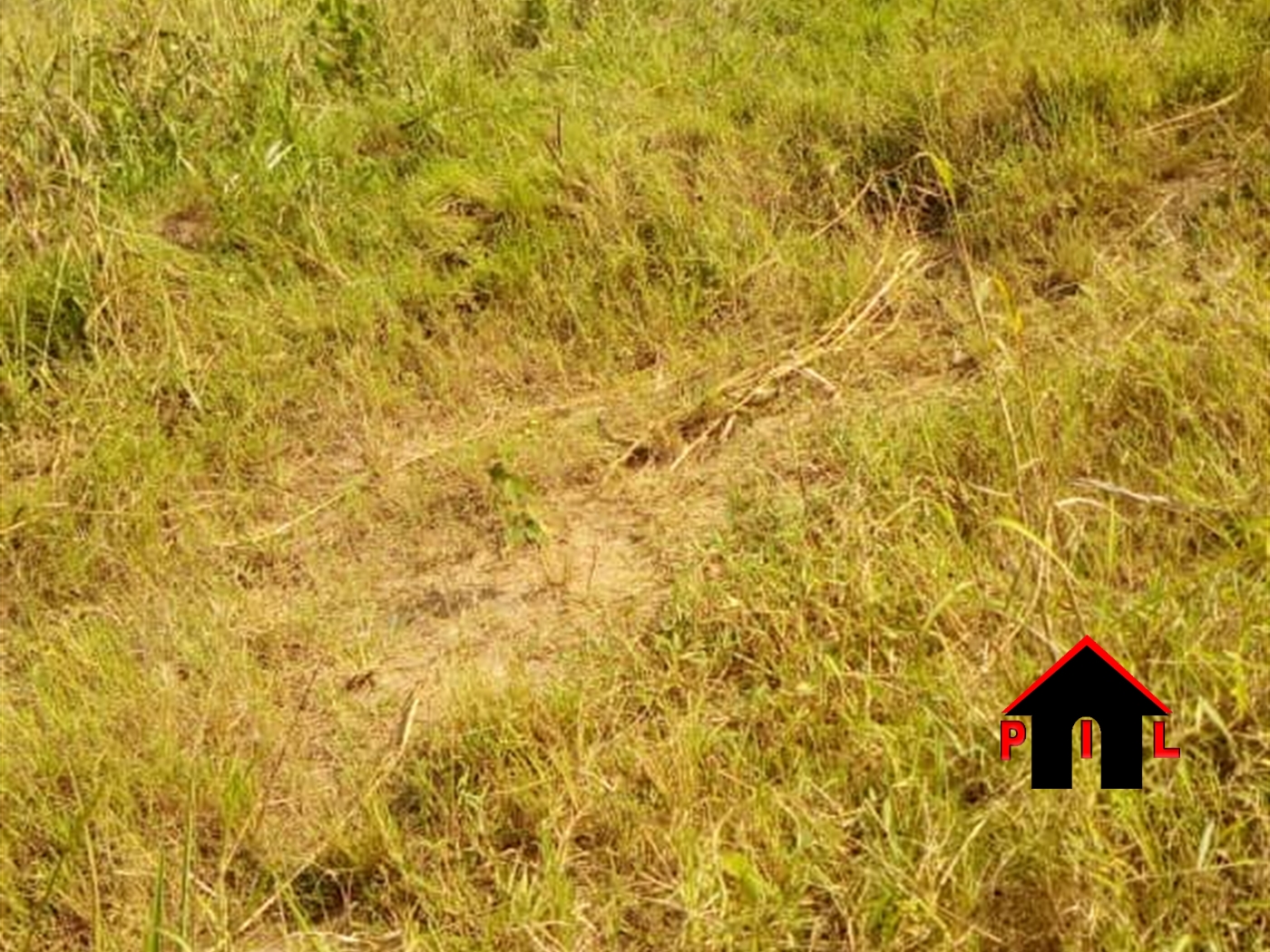 Commercial Land for sale in Bugema Wakiso