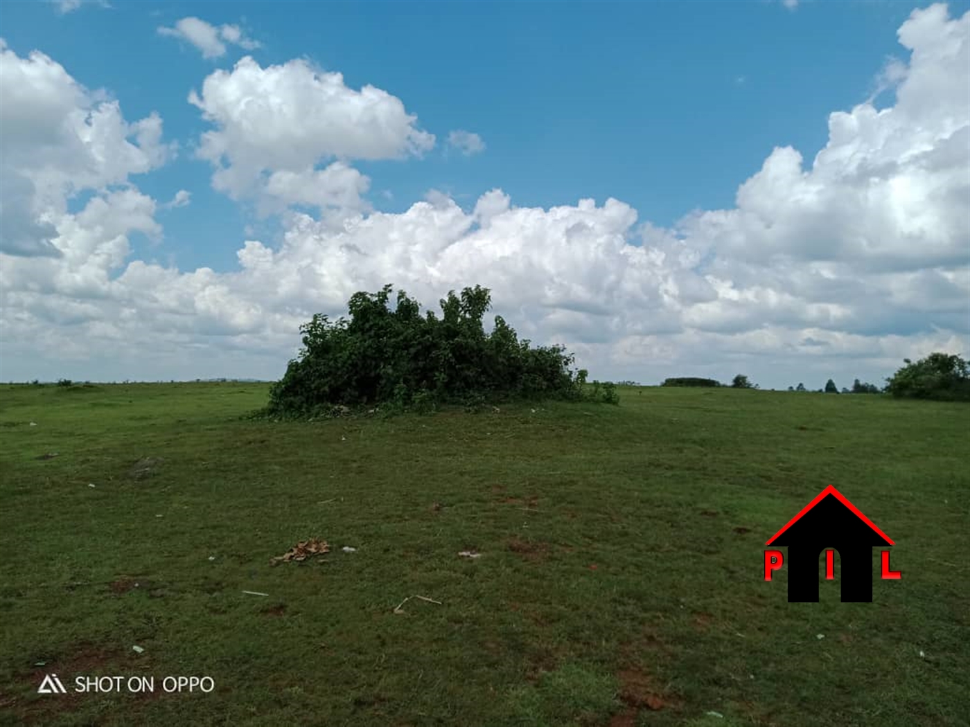 Agricultural Land for sale in Buyana Mpigi