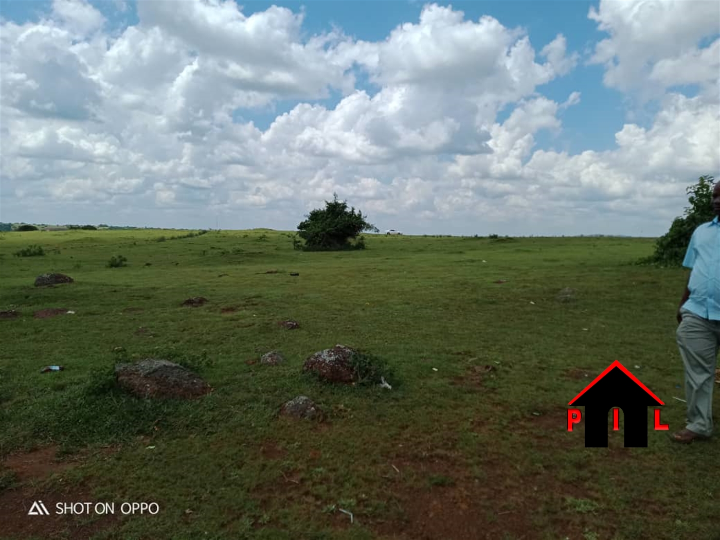 Agricultural Land for sale in Buyana Mpigi