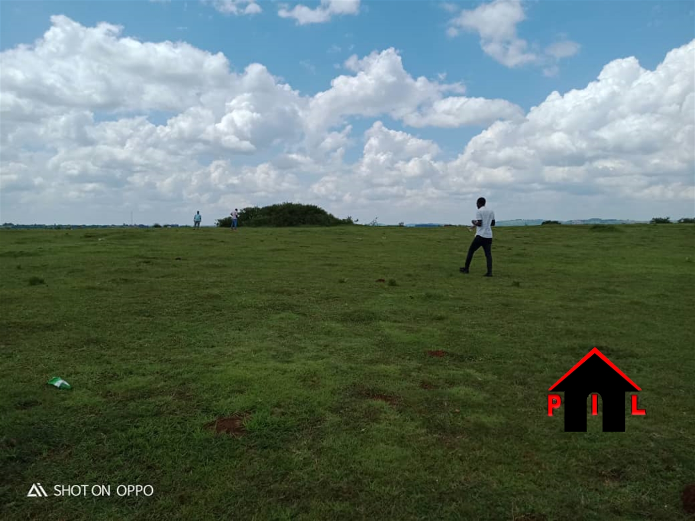 Agricultural Land for sale in Buyana Mpigi