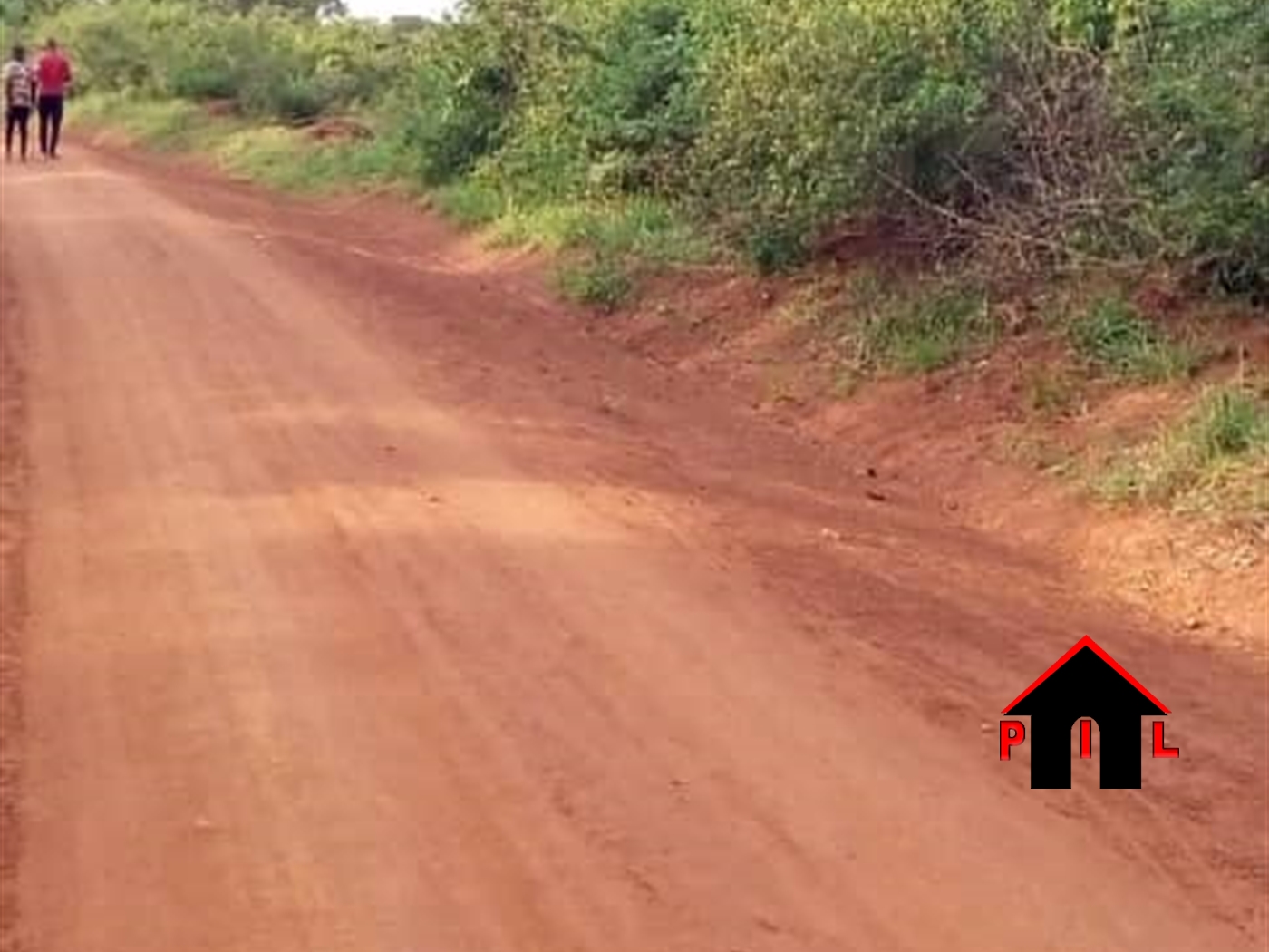 Agricultural Land for sale in Kamila Luweero