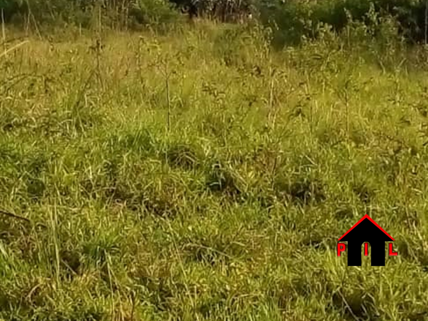 Agricultural Land for sale in Kamila Luweero