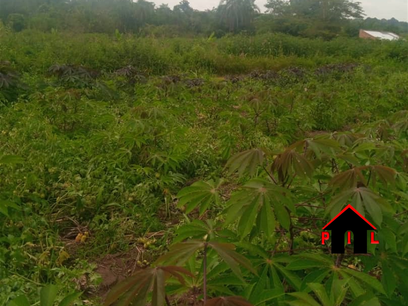 Agricultural Land for sale in Dekabusa Luweero