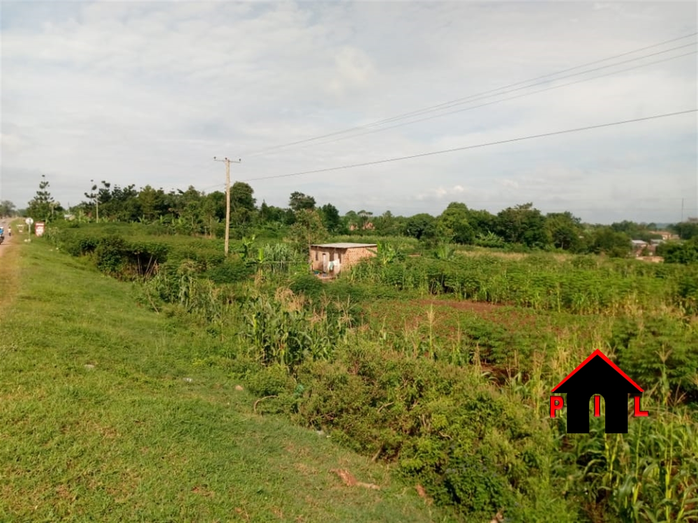 Agricultural Land for sale in Naggalama Mukono