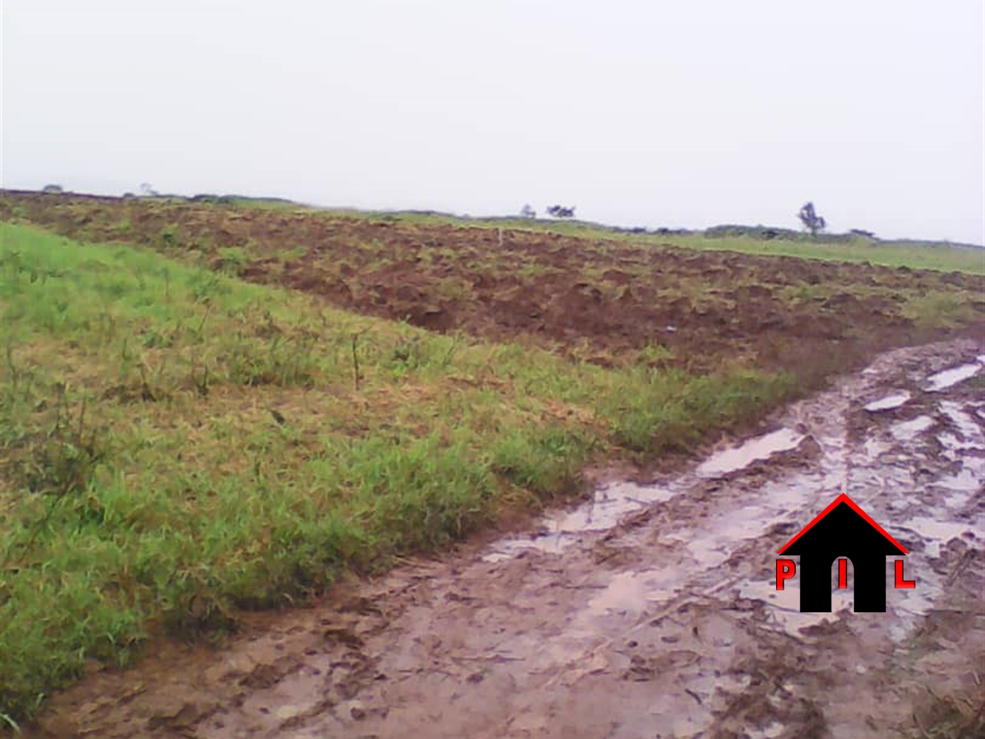 Residential Land for sale in Busukuma Wakiso