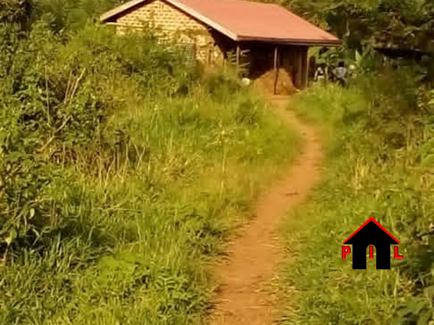 Agricultural Land for sale in Kasana Luweero