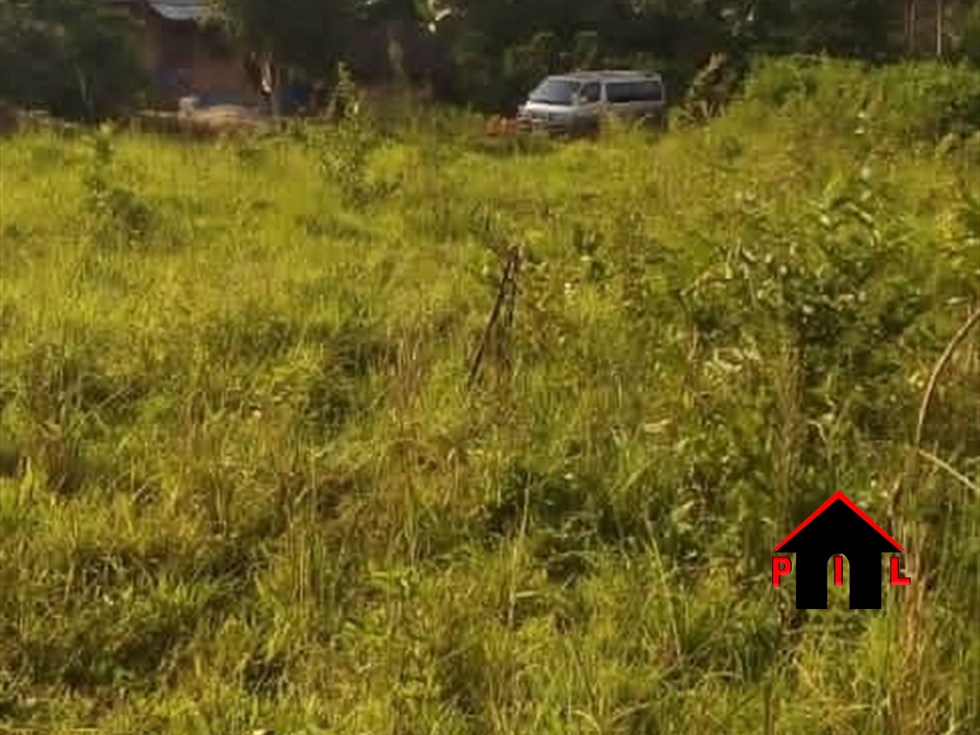 Agricultural Land for sale in Kasana Luweero