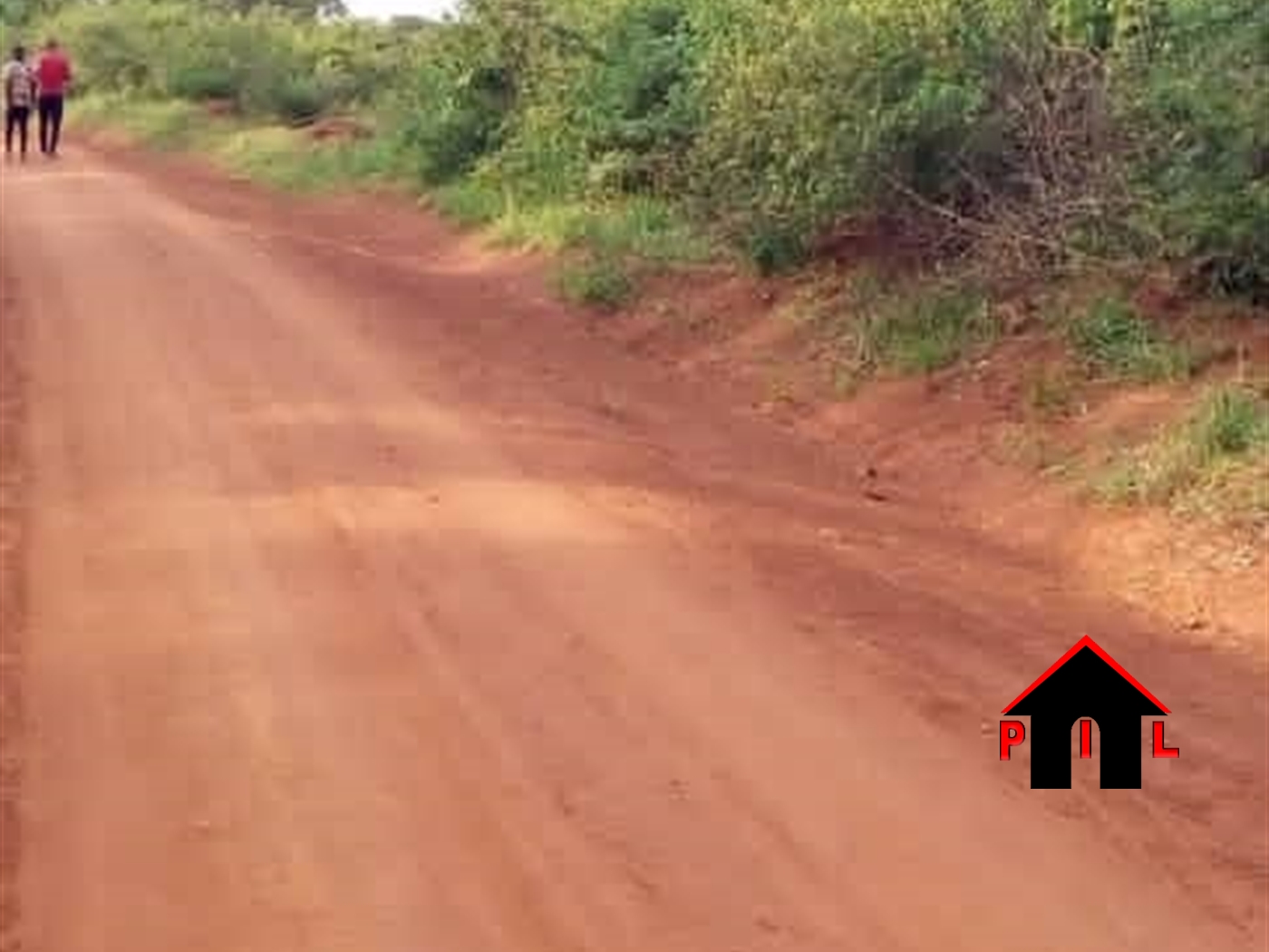 Agricultural Land for sale in Kasana Luweero