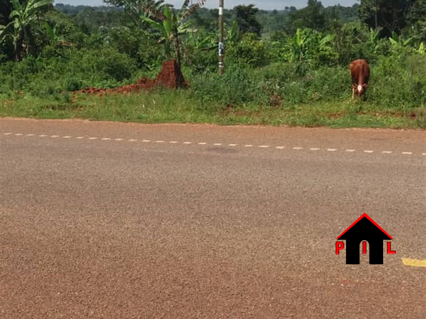 Agricultural Land for sale in Kisowela Mukono